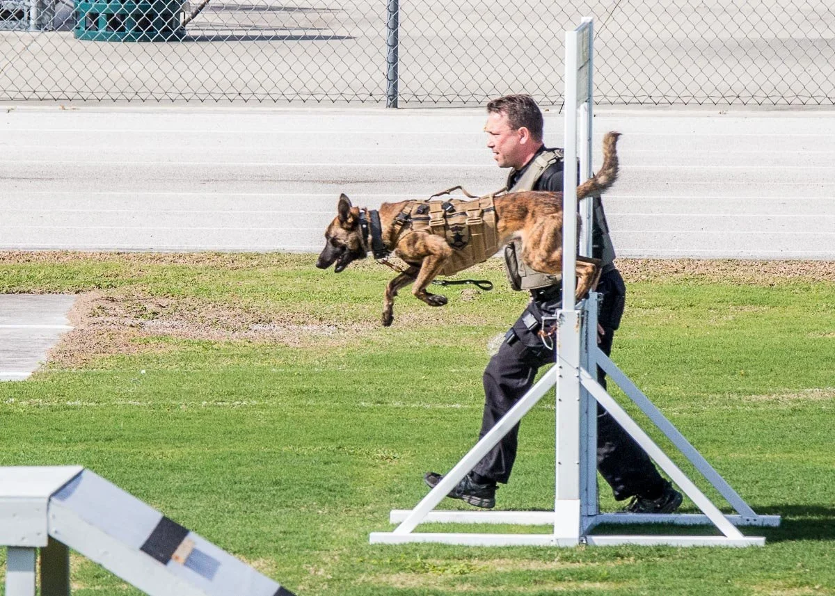 SSO K9Comp-162.jpg