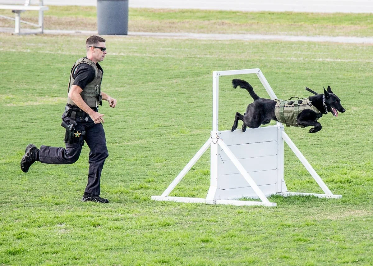 SSO K9Comp-141.jpg