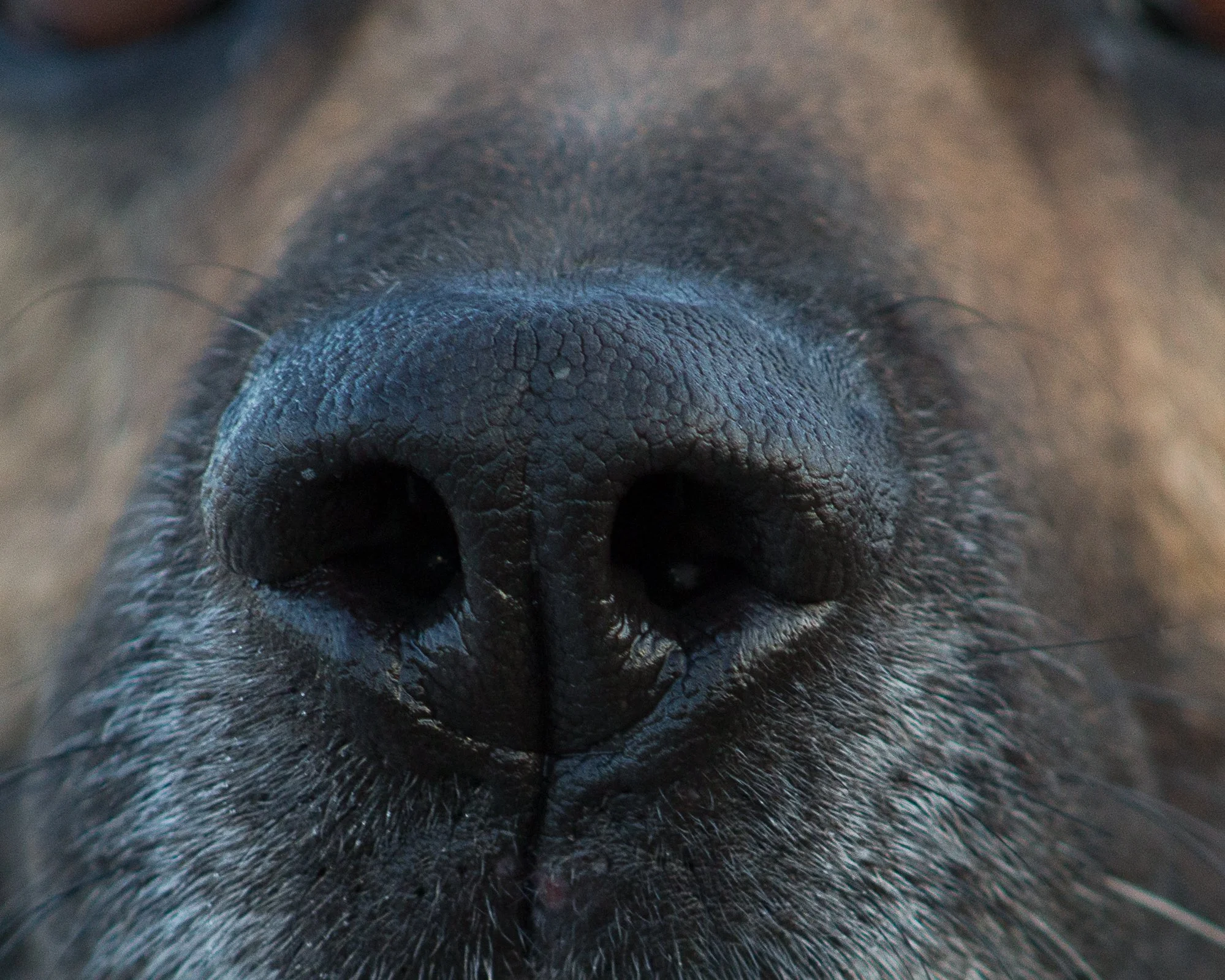 training 2 24-107.jpg