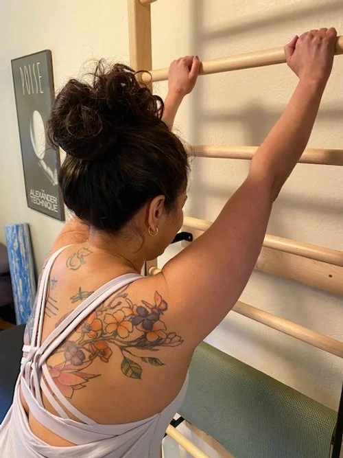 INTRODUCTORY SPECIAL