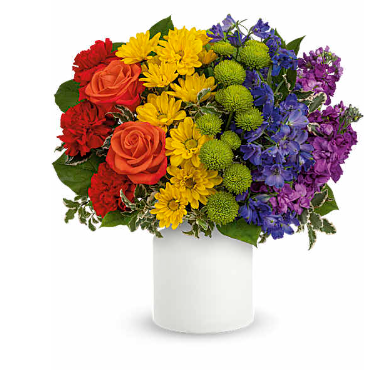 Rainbow Mama Bloom Mini