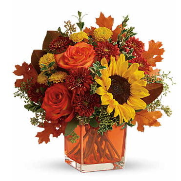 Celebrate Mama Bloom Mini