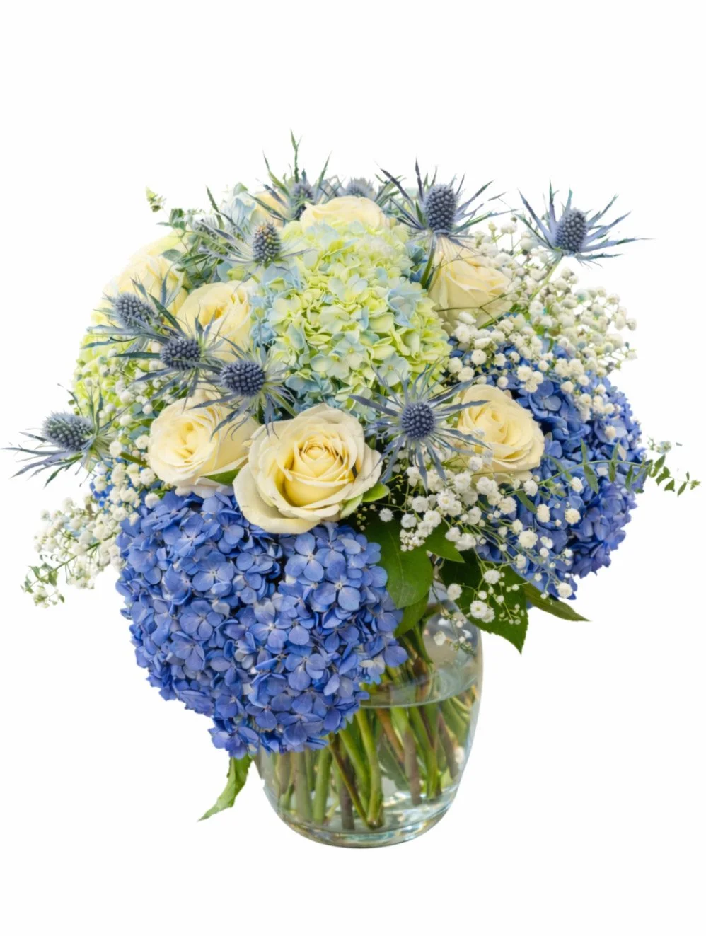 Expecting Mama Bloom (Boy)