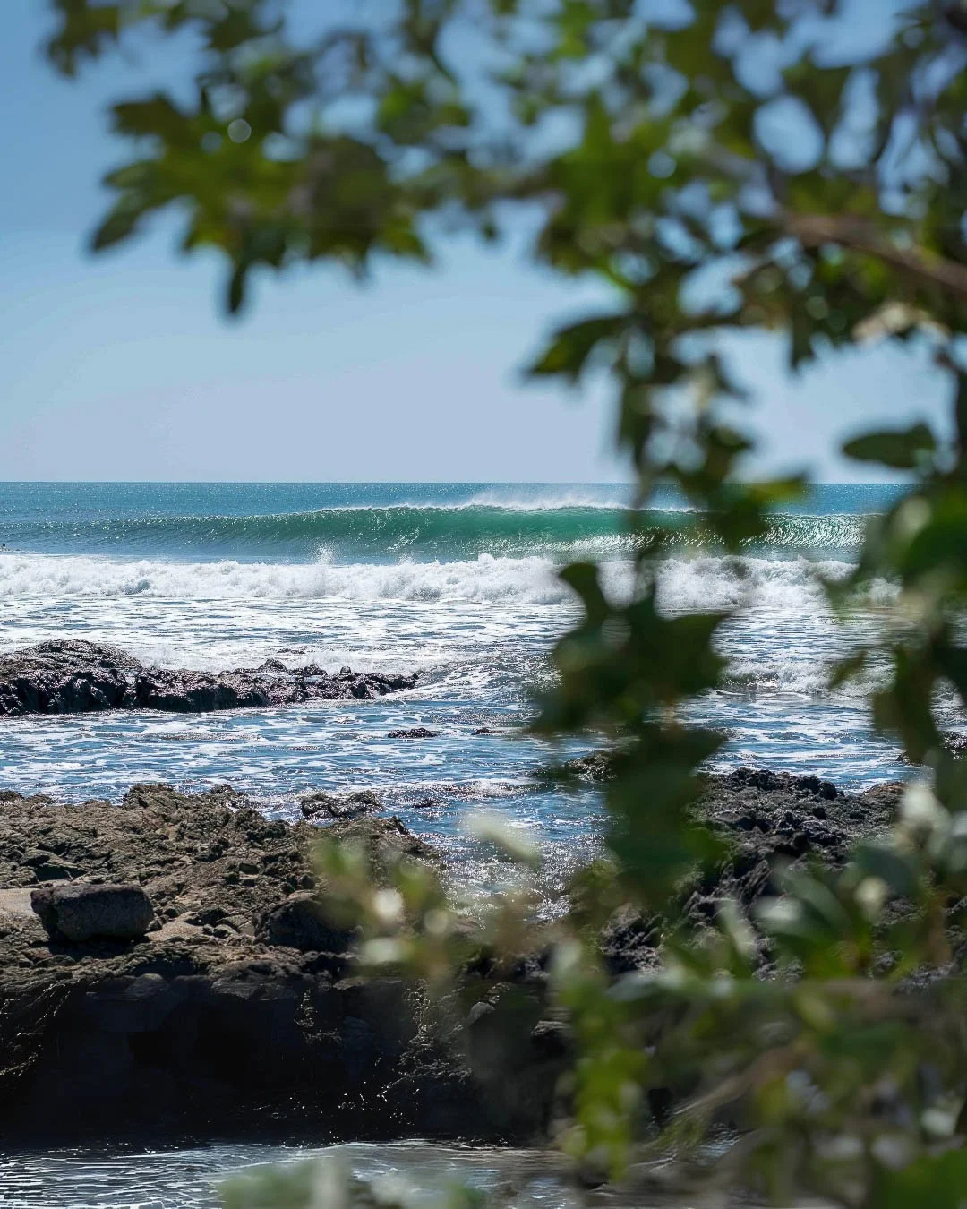 Ocean waves crashing on rocky shoreline through green foliage