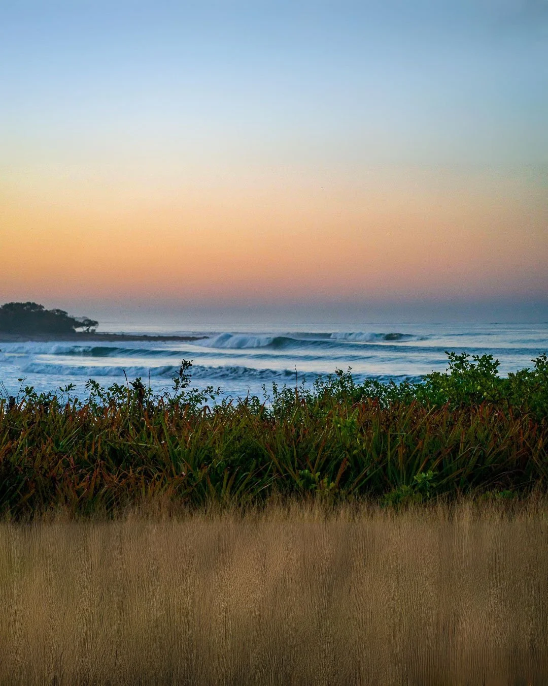 Scenic view of the beach at sunset, with rolling waves, a distant landmass with trees, and lush green and brown vegetation in the foreground.