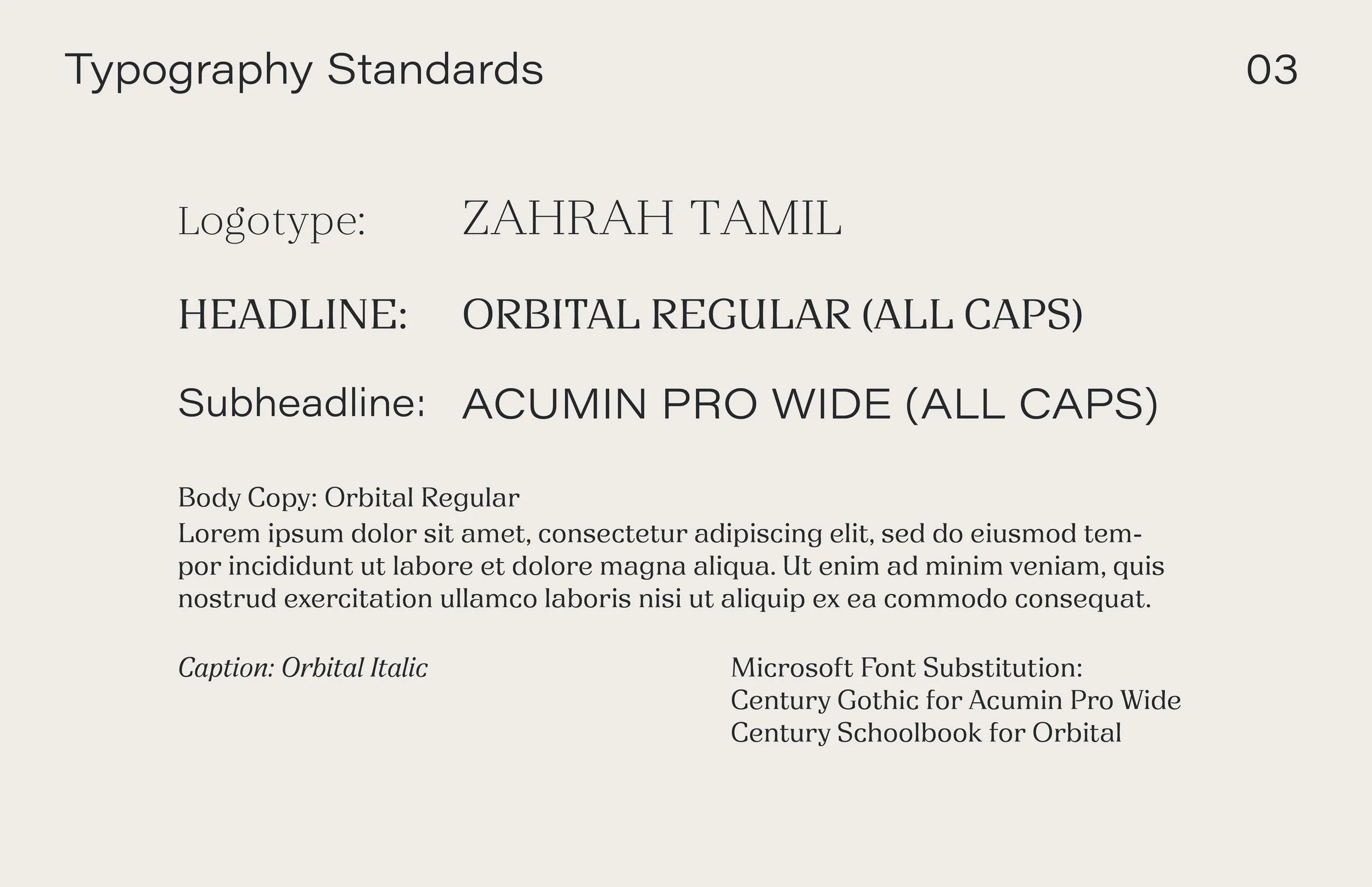 ivoryandearthbrandstandards-v24.jpg