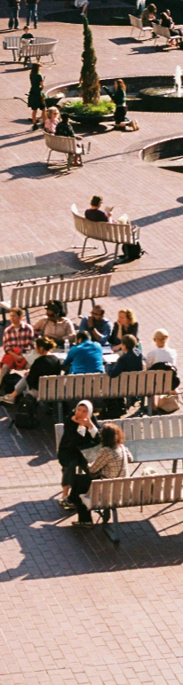 Public gathering space representing indigenous community organisations and public sector operations.