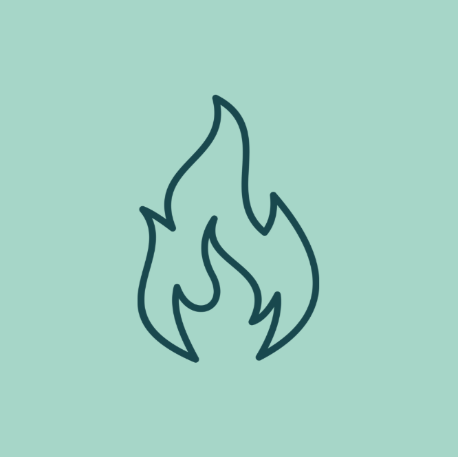 Green flame icon representing Wildfire Liability coverage.