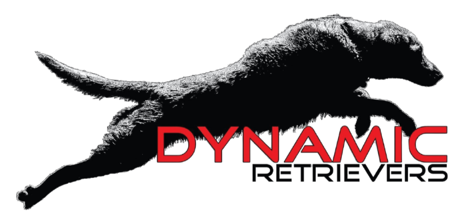 Locations — Dynamic Retrievers