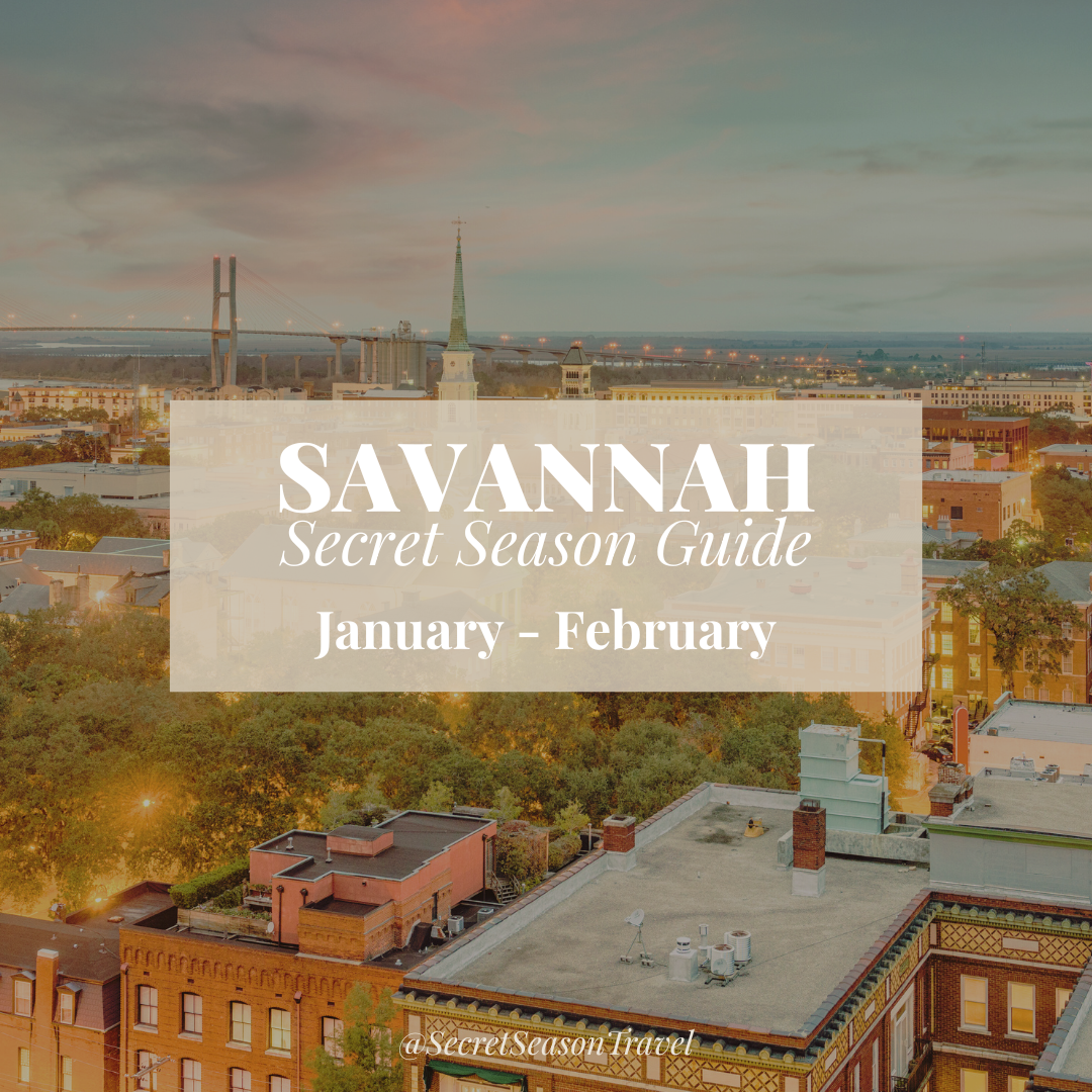 Savannah’s Secret Season: January–February