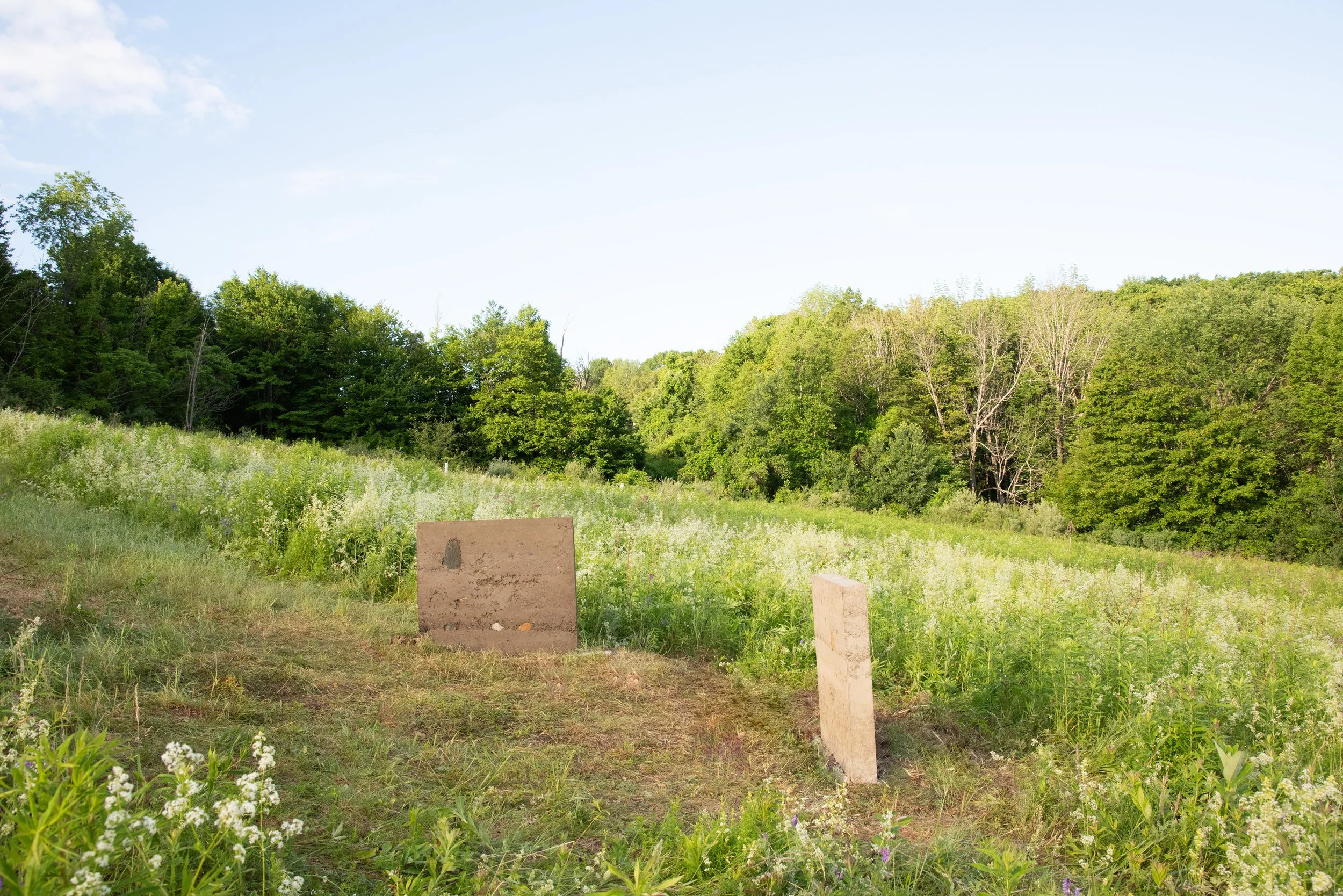 Corner Meadow.jpg