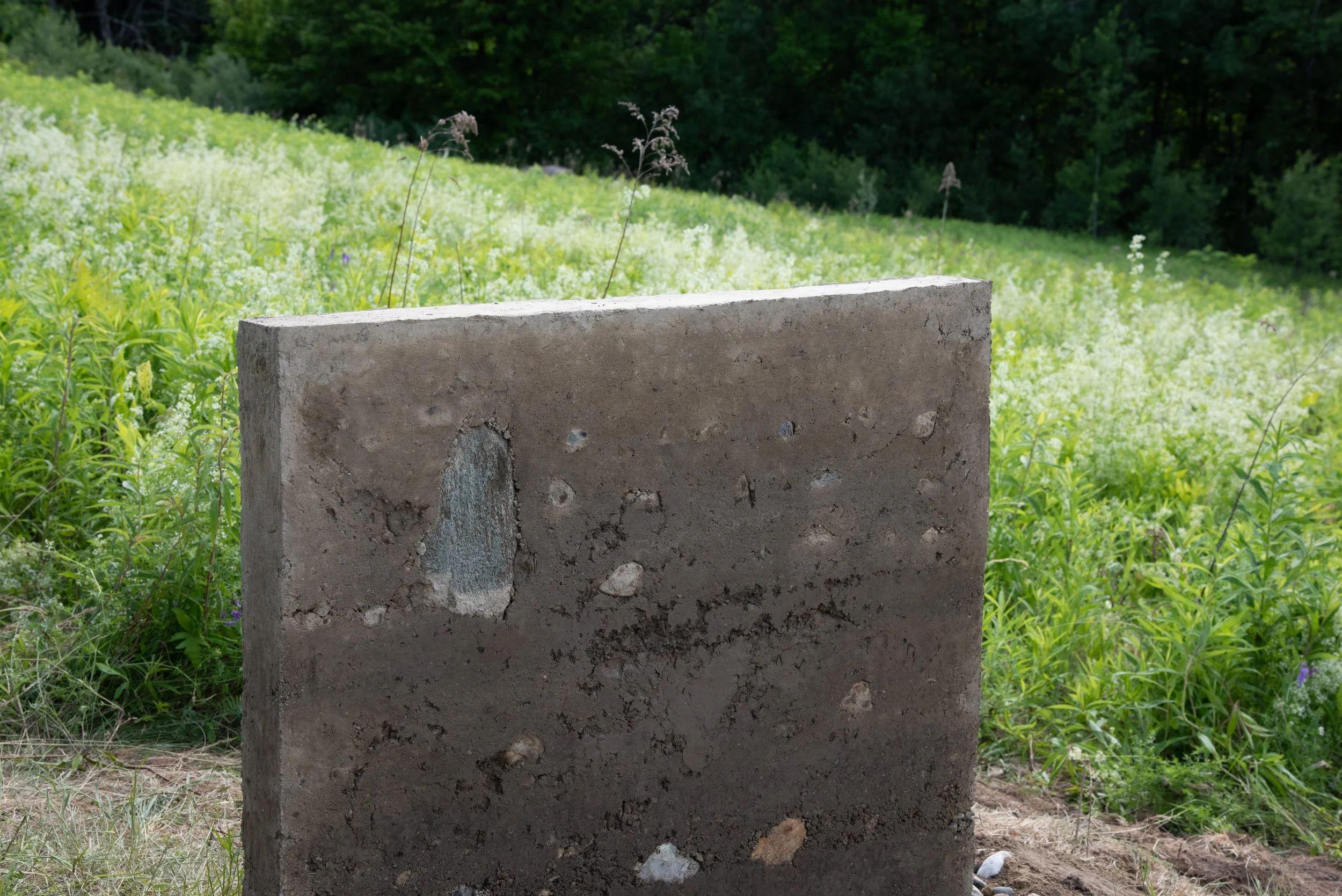 meadow corner close up of left 5mb.jpg