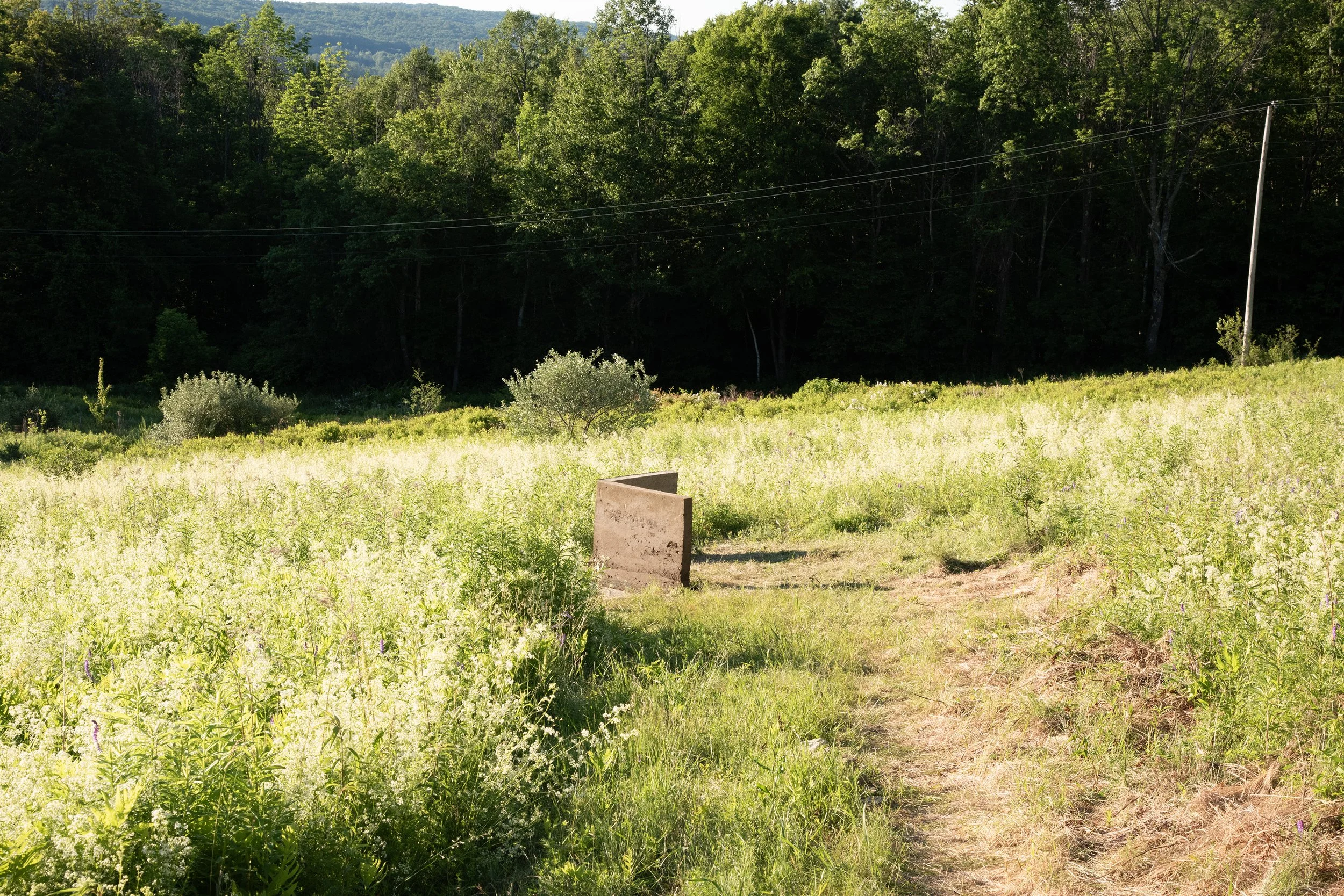 meadow corner.jpg