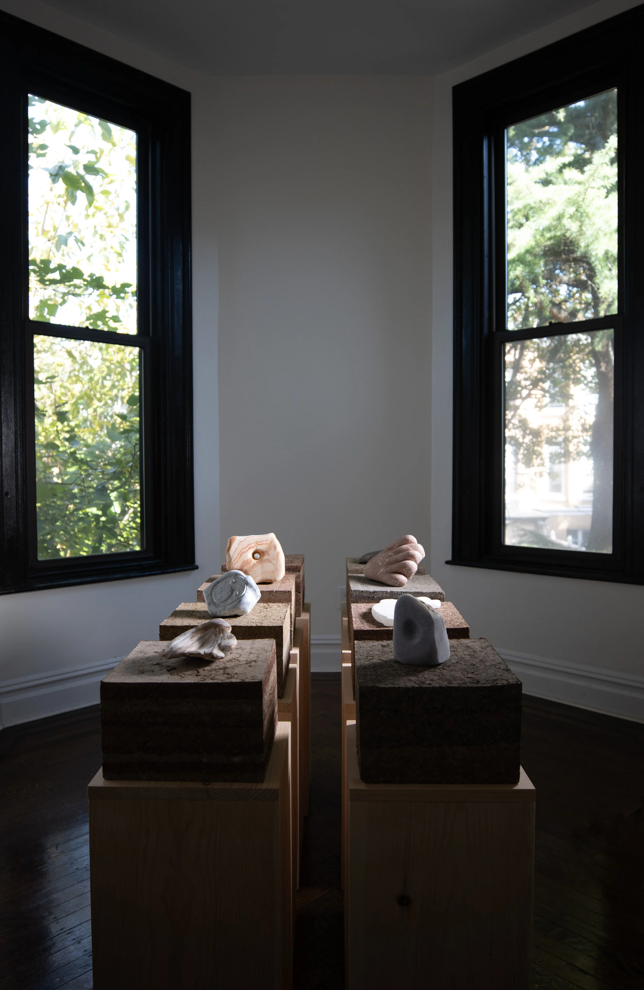 DIGS Installation (i), Guest Gallery, 2025