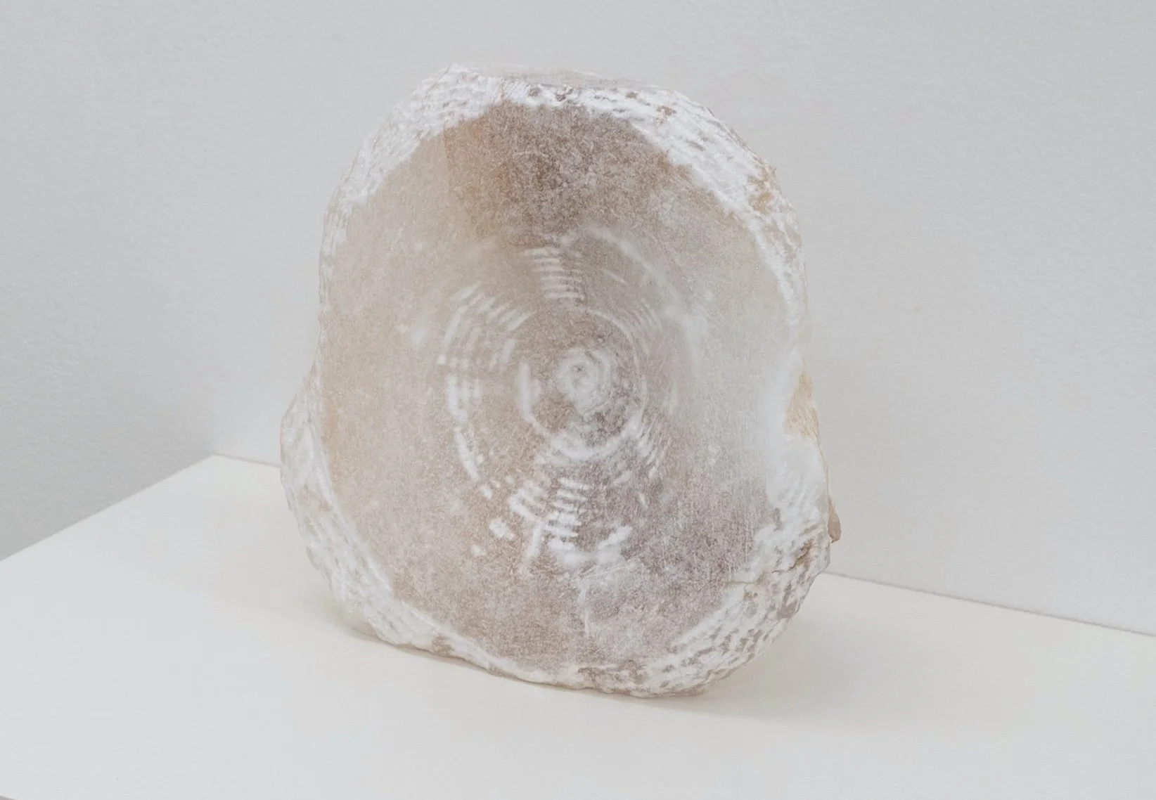 (I bow outwards, like a cornea), 2025, Alabaster, 6” x 4.5” x 2” 
 

