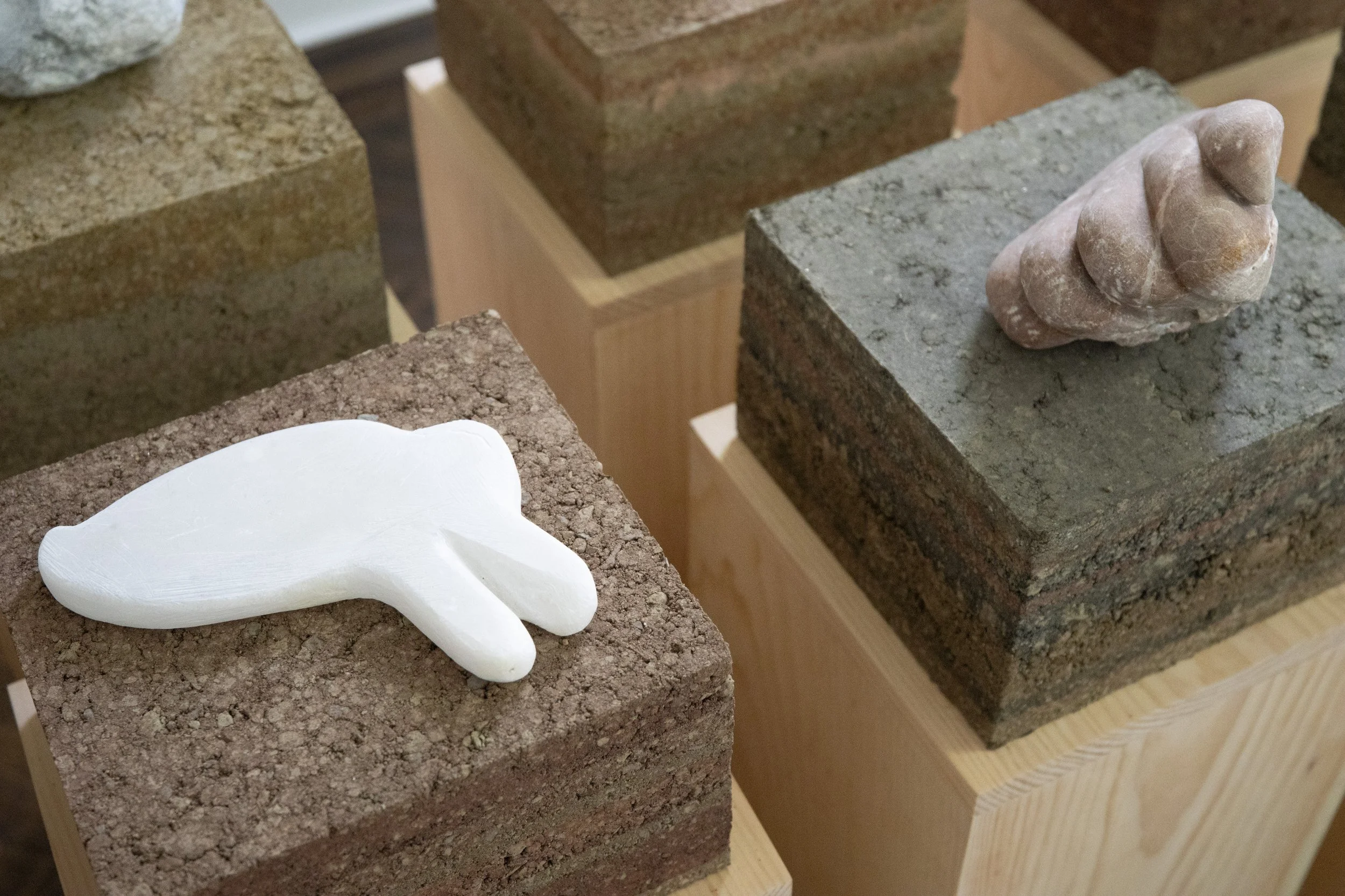 Installation view (x) of DIGS at Guest Gallery

Photo by Arseny Pekurovsky