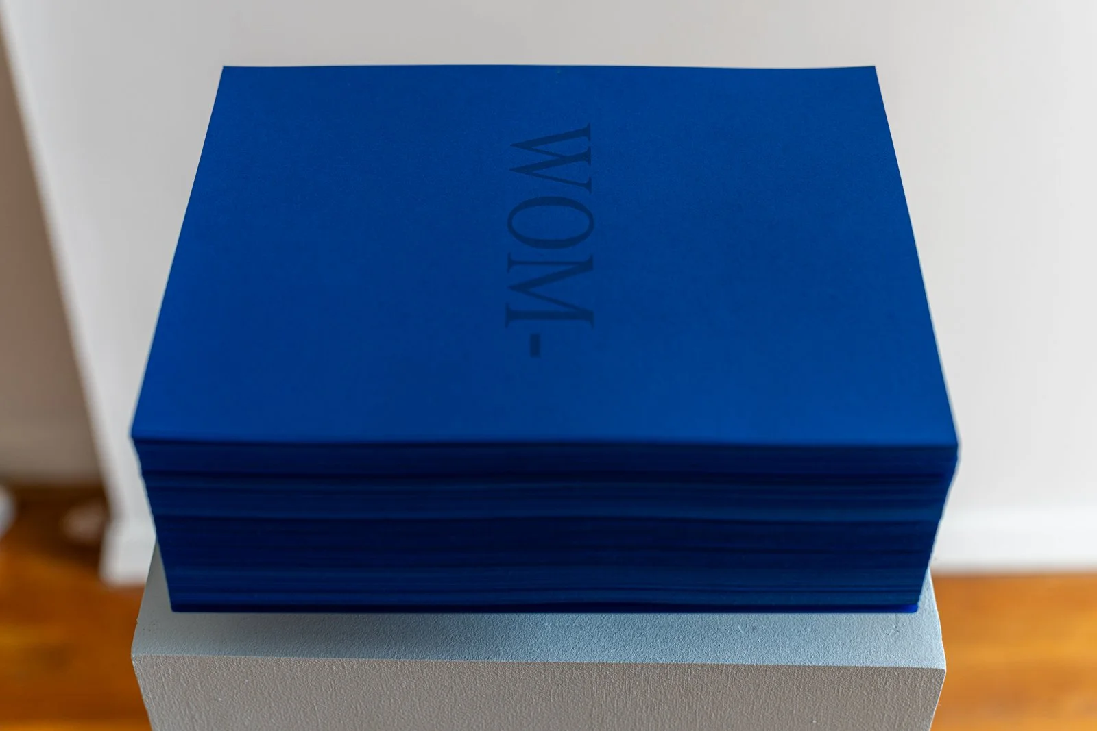 Runes (Artist Book), 2024, 649 pages, Blue ink on blue paper, 38.5” X 13” X 8.5”with pedestal), (Detail)

Photo credit: Benjamin Koditschek