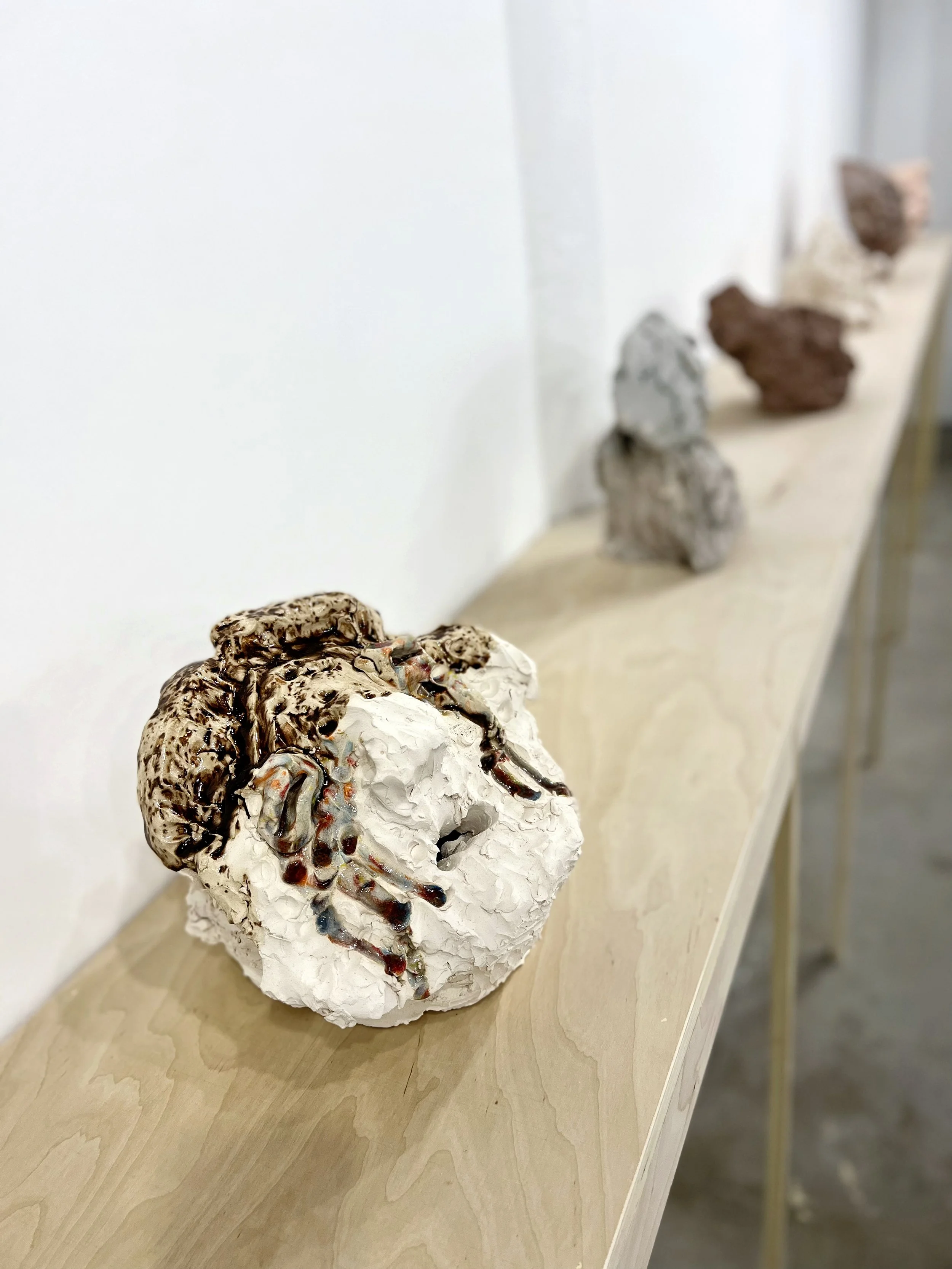 Criers, Installation view xiv

Photo Credit: Joe de Nardo