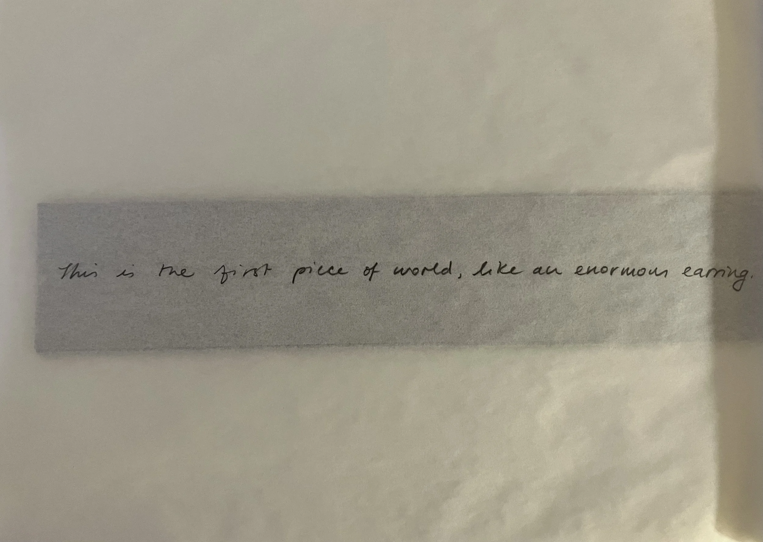 text from dreamer 1.jpg