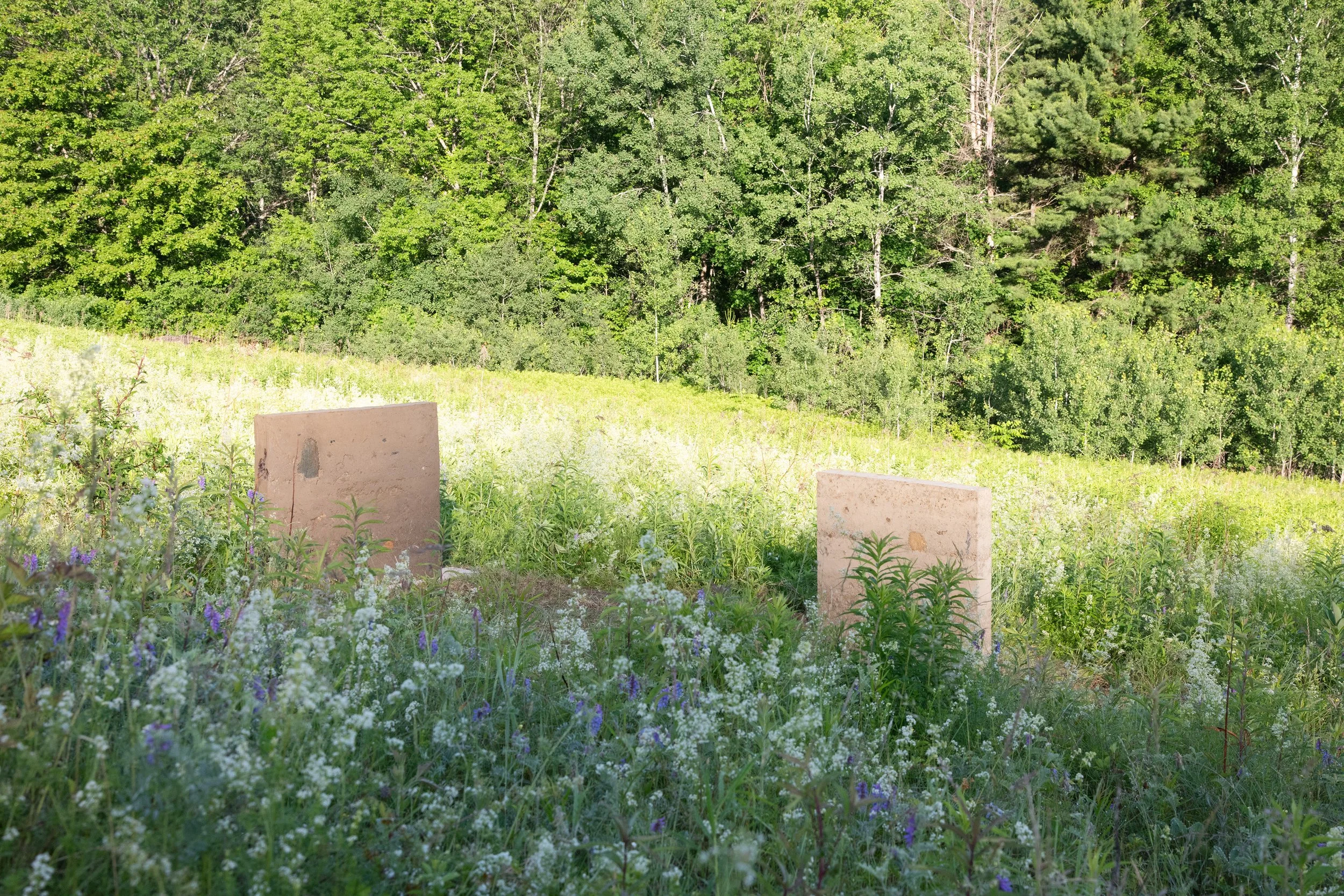 I Am The Space Where I Am (Meadow Corner)