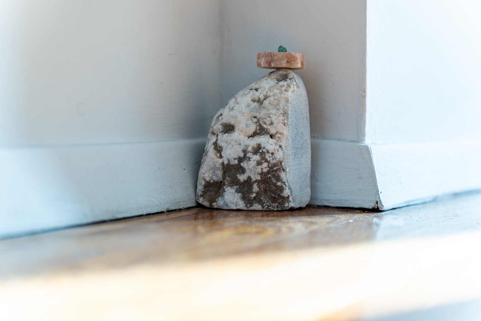 Photo credit: Benjamin Koditschek