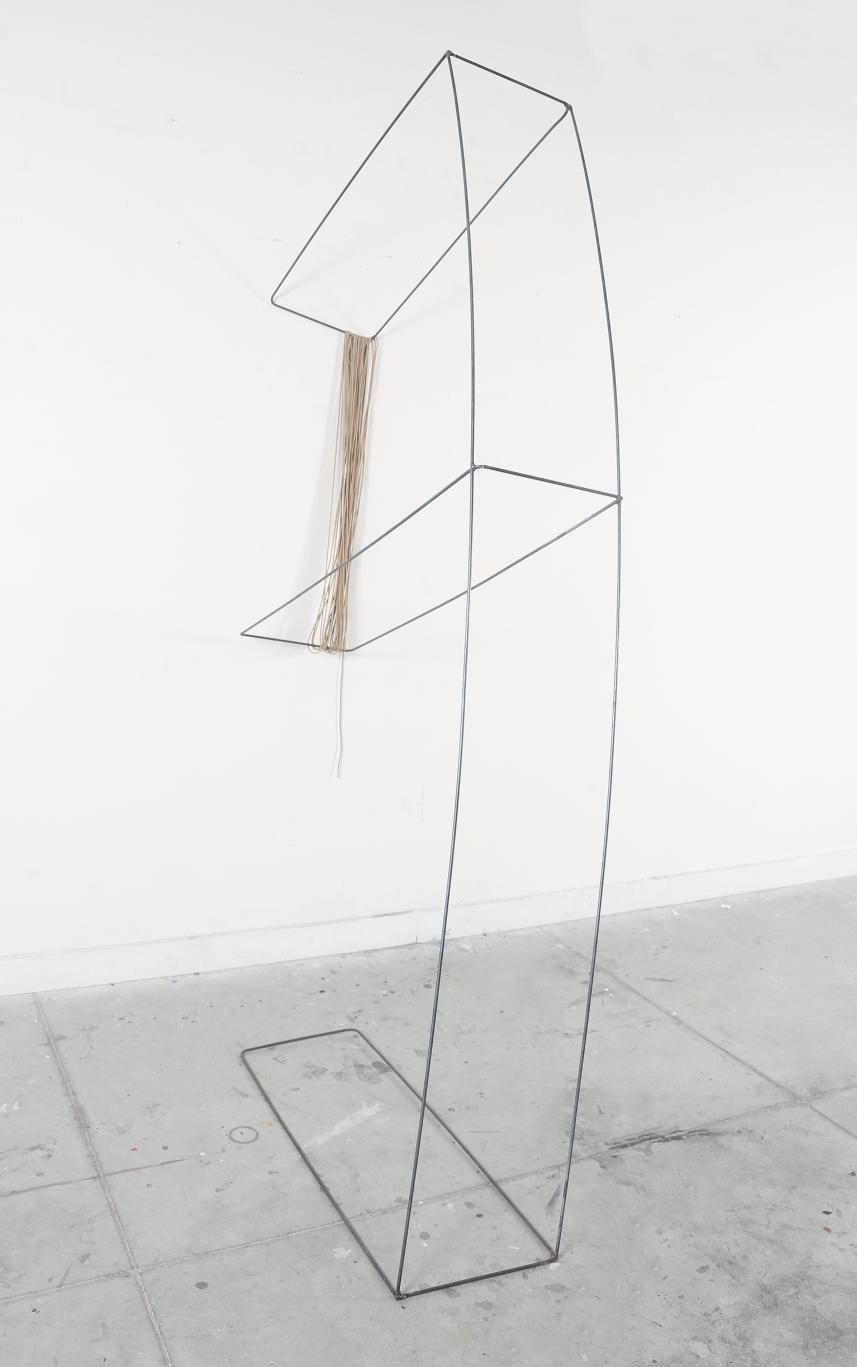 And Yet You Were There, Perhaps Just For An Instant, 2016, Steel pipe and para cord, 96" X 48" X 12"