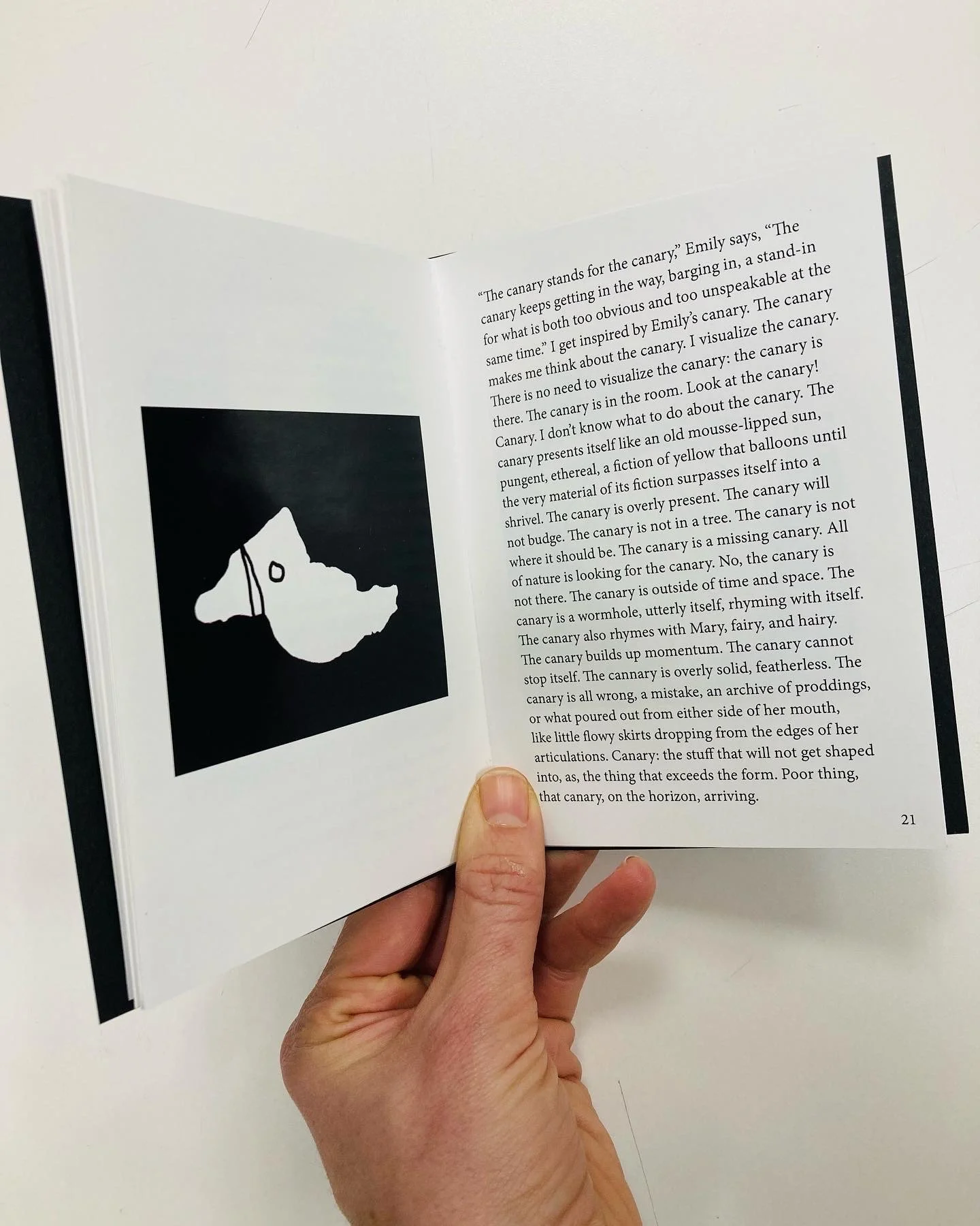 Artist book of “Amok” (Detail iii), collection of illustrations of each sculpture in the show paired with text composed for each sculpture, Hand-bound Limited Edition