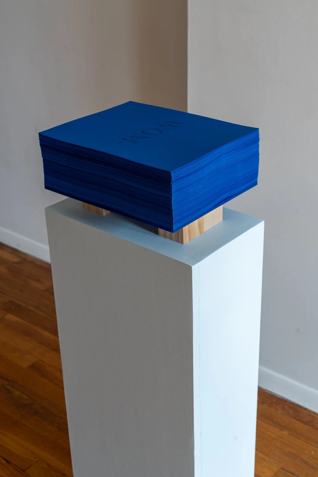 Runes (Artist Book), 2024, 649 pages, Blue ink on blue paper, 38.5” X 13” X 8.5”with pedestal)

Photo credit: Benjamin Koditschek