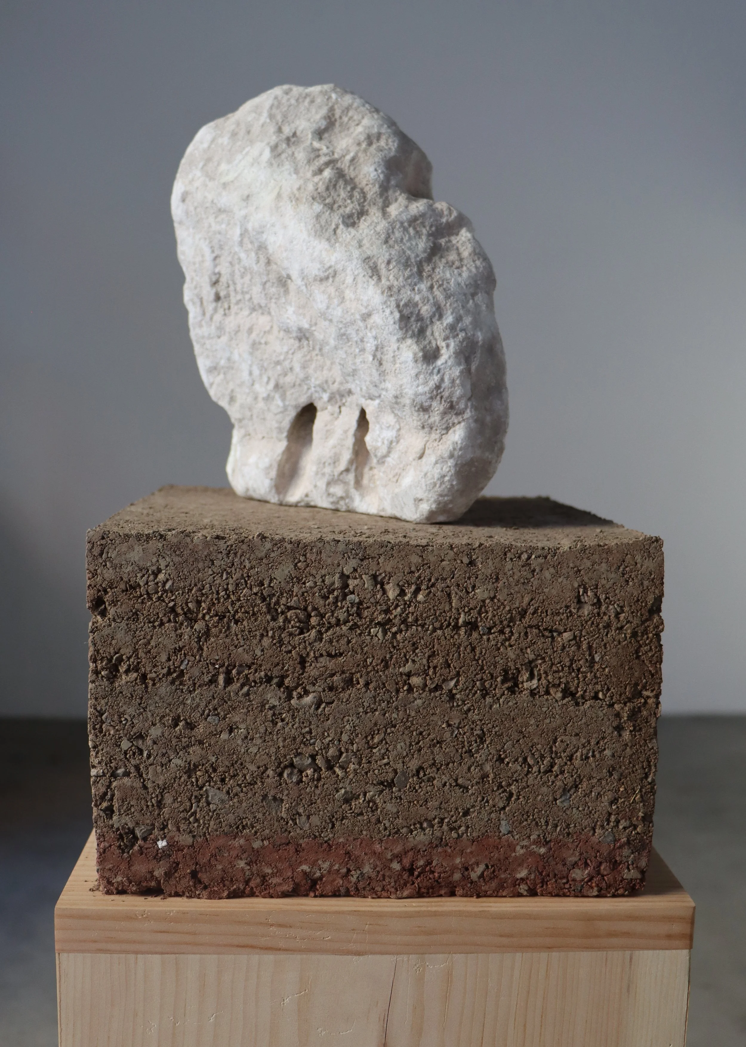 back of three fingers my pet ram.jpg