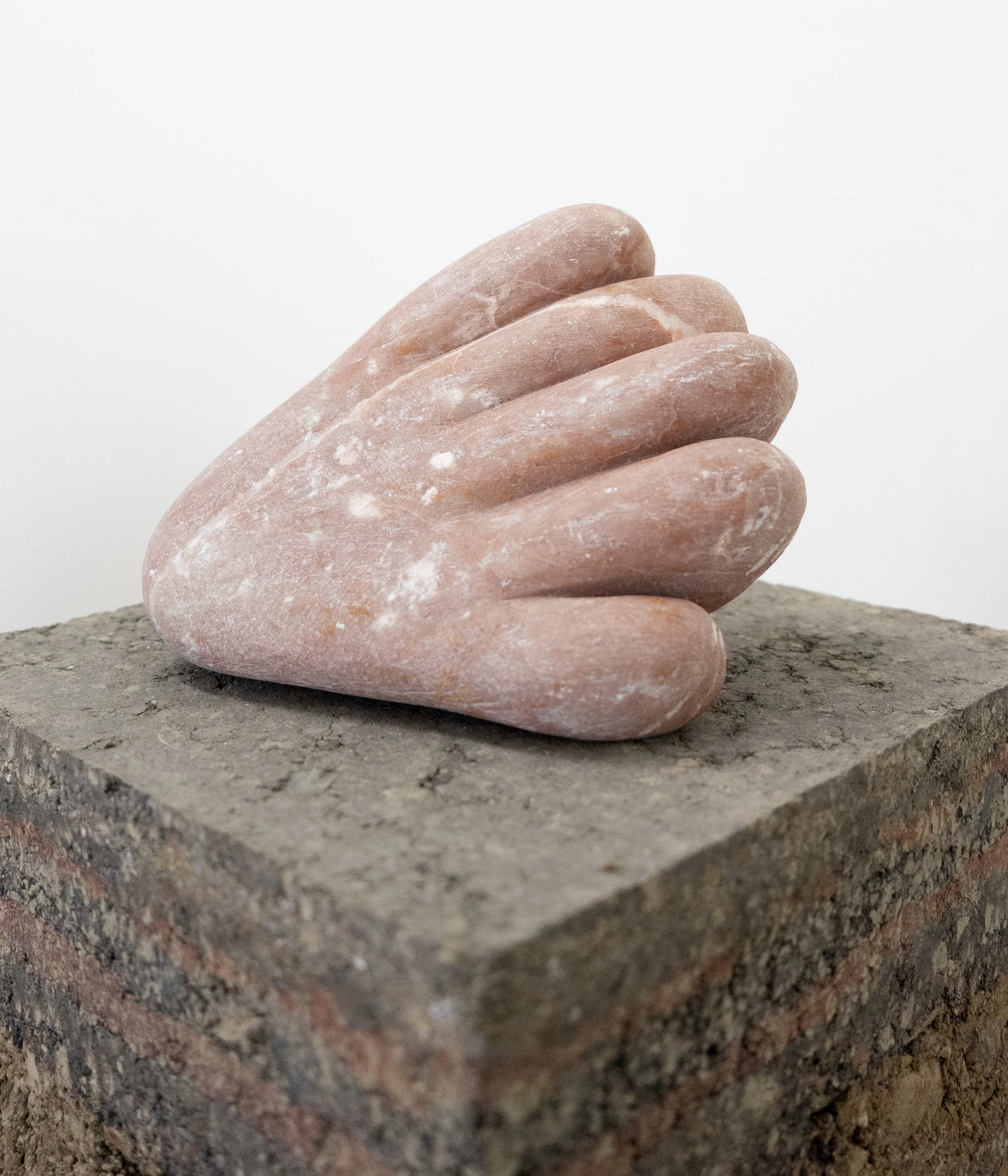 Hand (To Grasp, bruise of sunset, whistles in the night), 2025, soapstone, earth, pine pedestal, 36” X 11.5” X 11”, (detail)

Photo by Henry Chapman