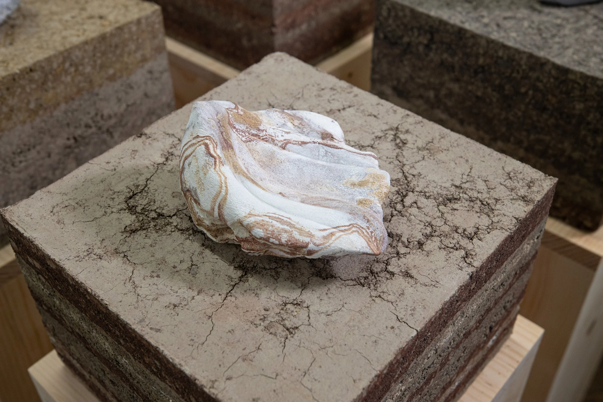 wing in install_MG_9777.jpg