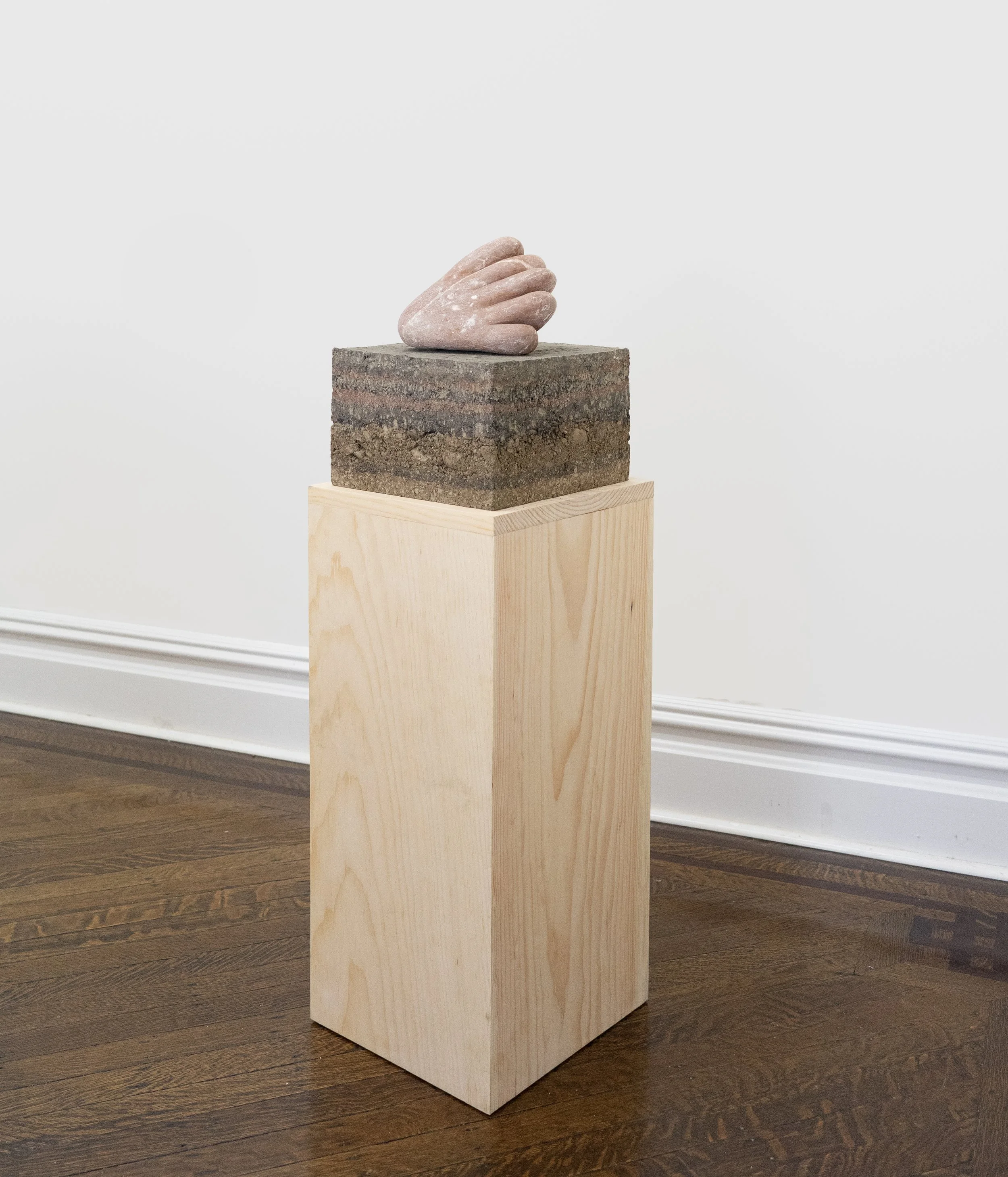 Hand (To Grasp, bruise of sunset, whistles in the night), 2025, soapstone, earth, pine pedestal, 36” X 11.5” X 11”

Photo by Henry Chapman
