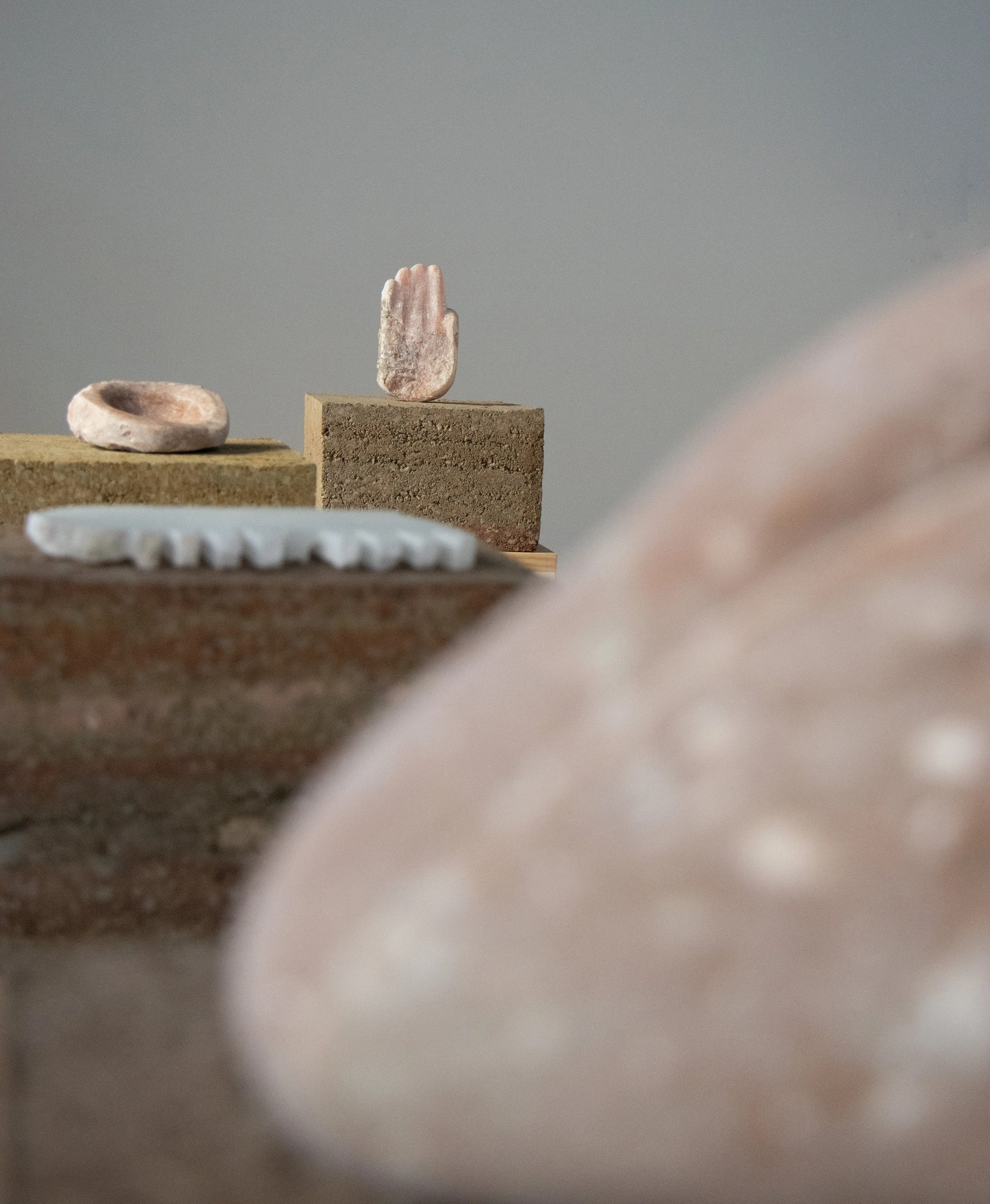 install at my pet ram.jpg