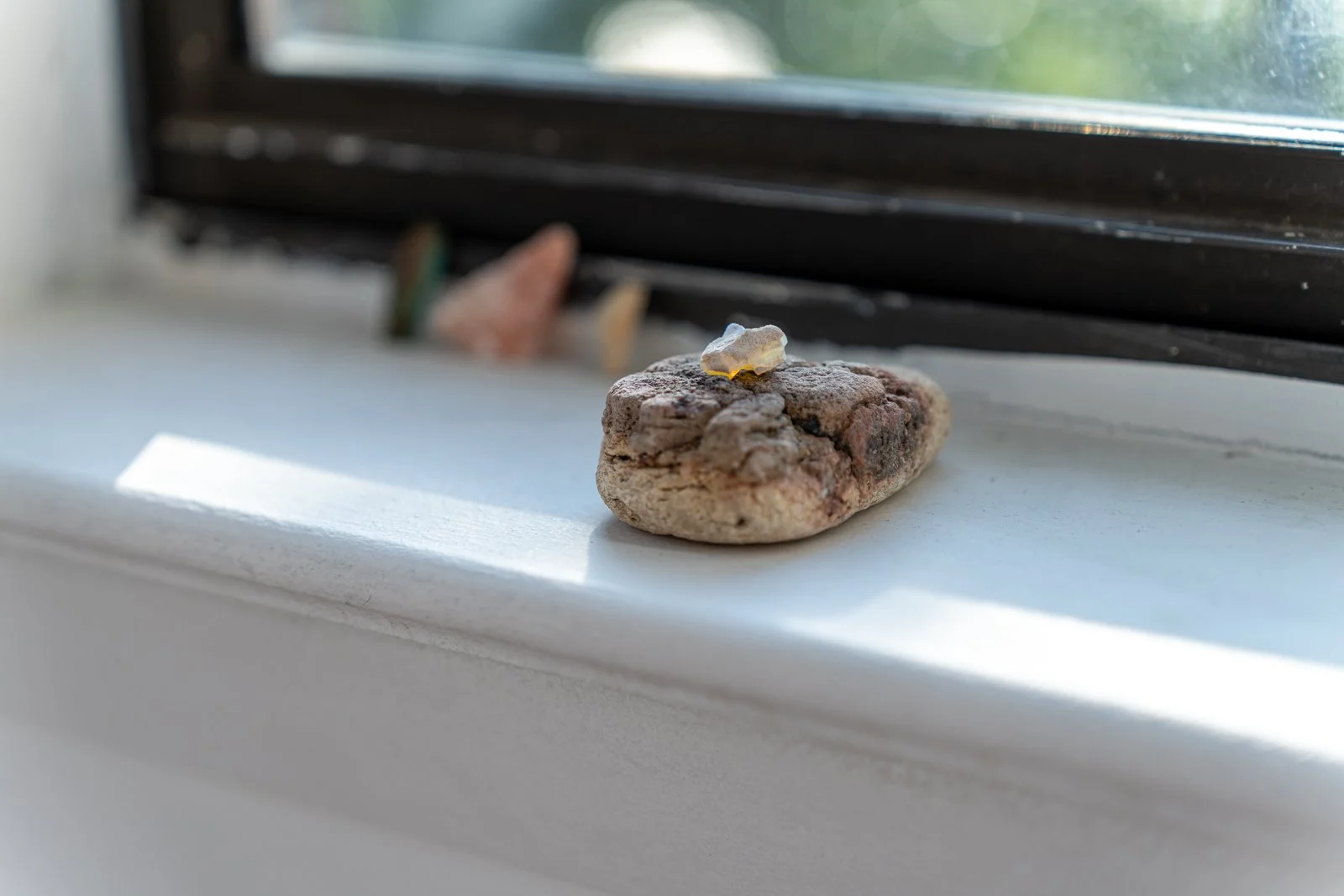 Photo credit: Benjamin Koditschek