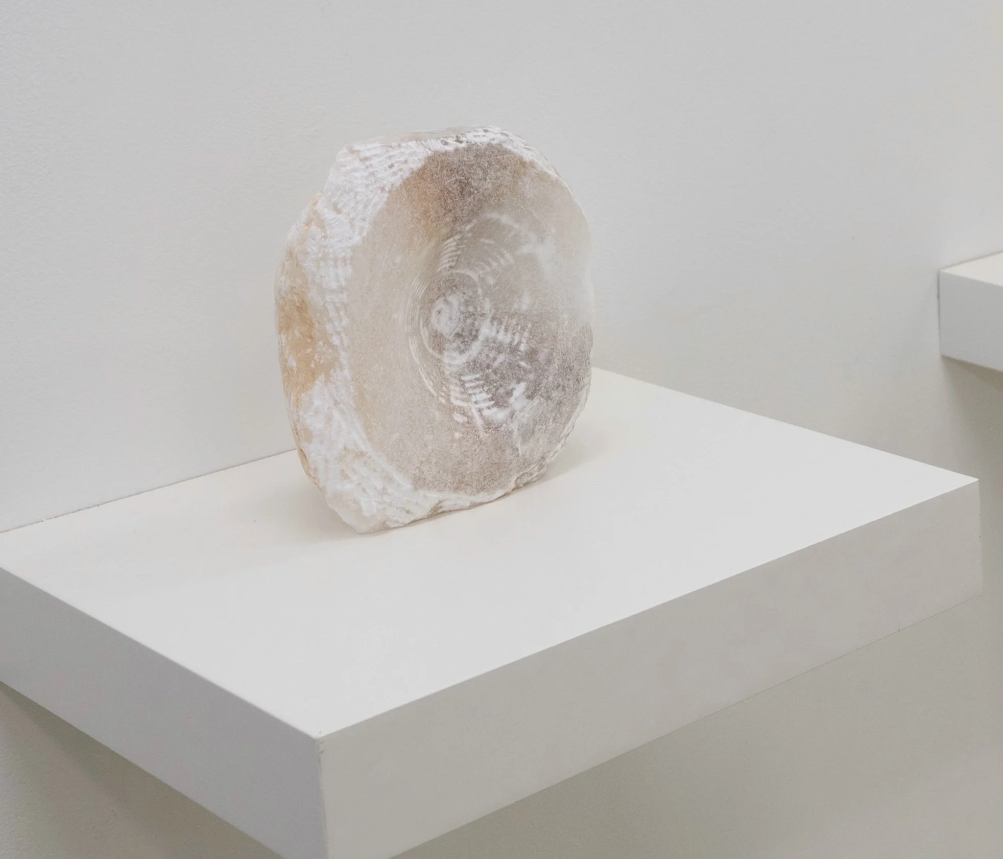 (I bow outwards, like a cornea), 2025, Alabaster, 6” x 4.5” x 2” 
