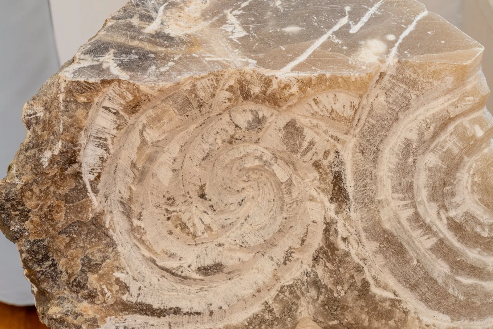 Water Swirled And You Asked Whether Vision Could Be Whittled On The Edge of Things, Where The Center Moved And Kept Traveling (Vortex, Fossil), 2024, Alabaster, Cinder block, wood, 21.5” X 13” X 7.5,” (Detail)

Photo credit: Benjamin Koditschek