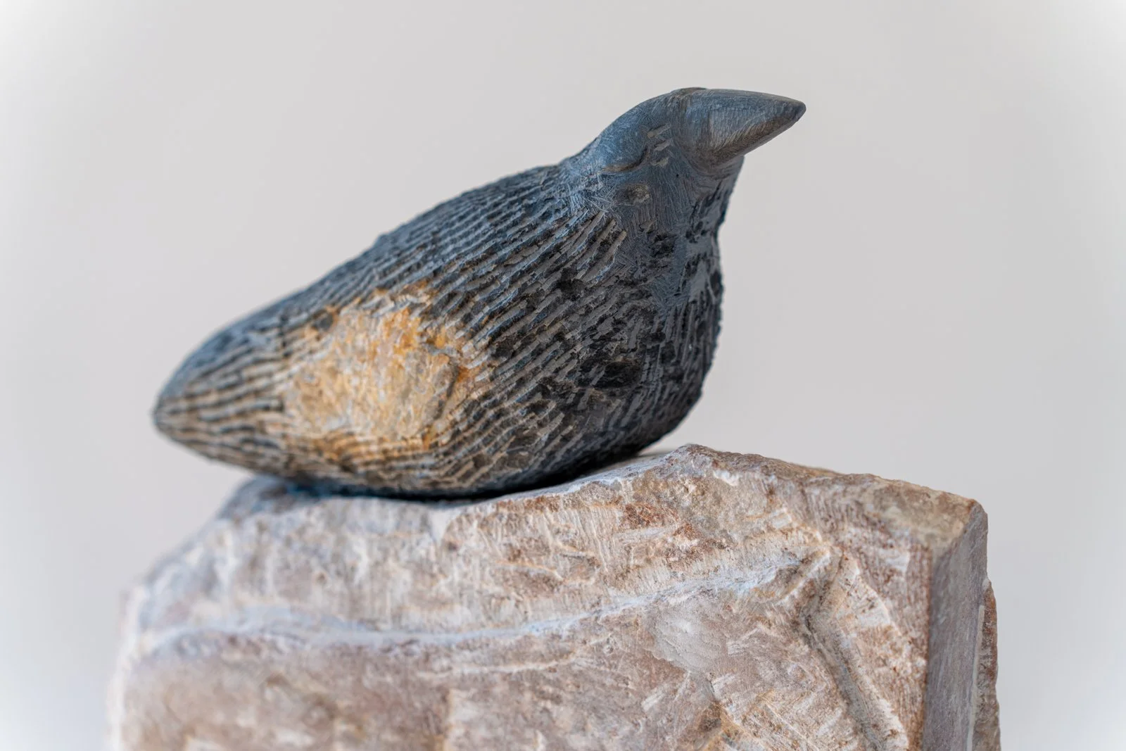 The Horse Was Stuck Inside The Lake, And The Crow Rested On The Surface Of The Lake, And We Called The Men To Extract The Horse From The Lake, And The Crow Was Beautiful And Still, And We Called The Men Again (Horse, Crow), 2024, Soapstone, alabaster