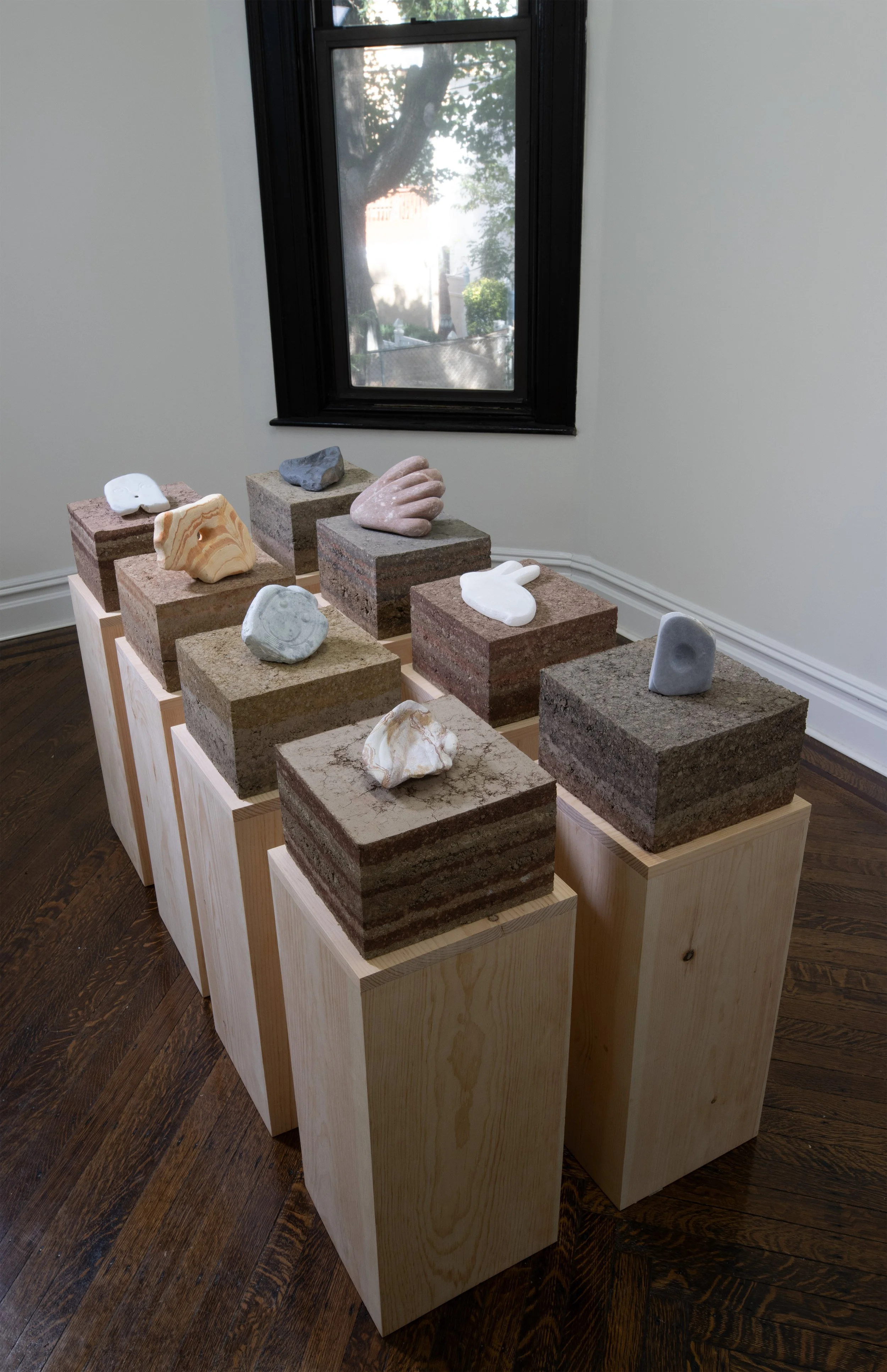 Installation view (ii) of DIGS at Guest Gallery

Photo by Arseny Pekurovsky