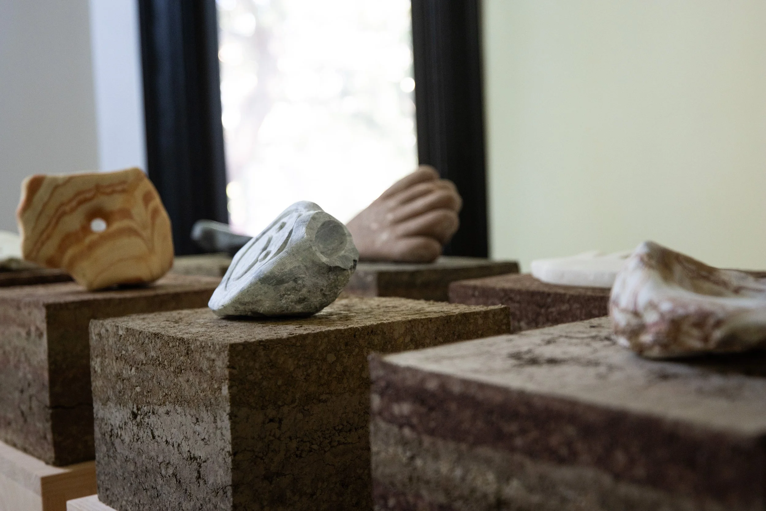 Installation view (vii) of DIGS at Guest Gallery