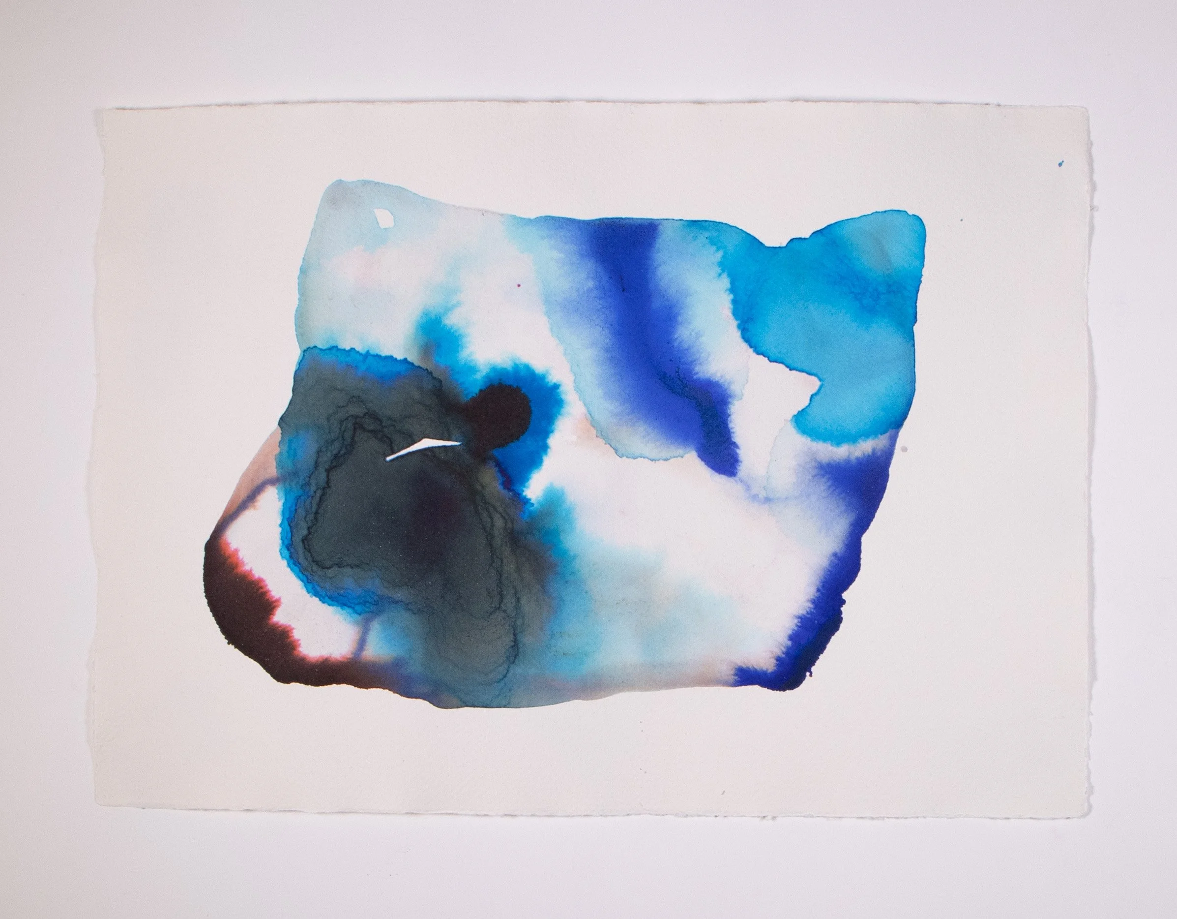 watercolor vii_IMG_0050.jpg