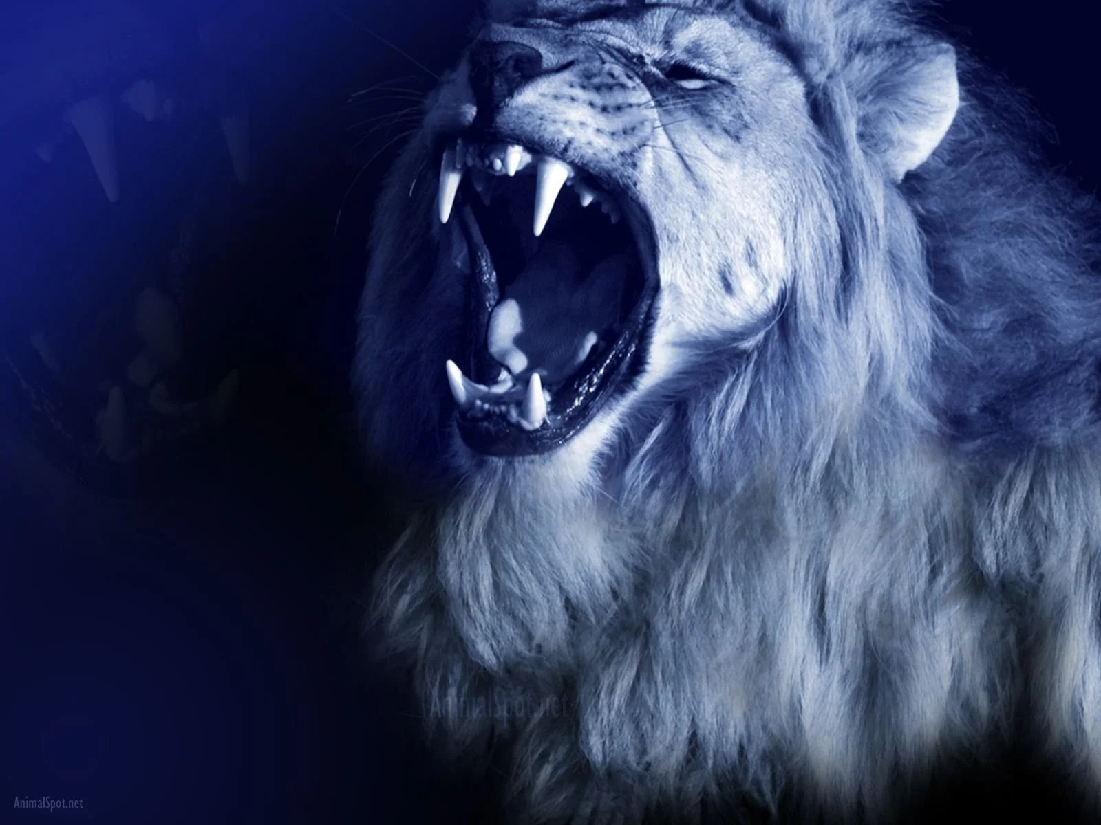 wp6731666-blue-lion-wallpapers.jpg