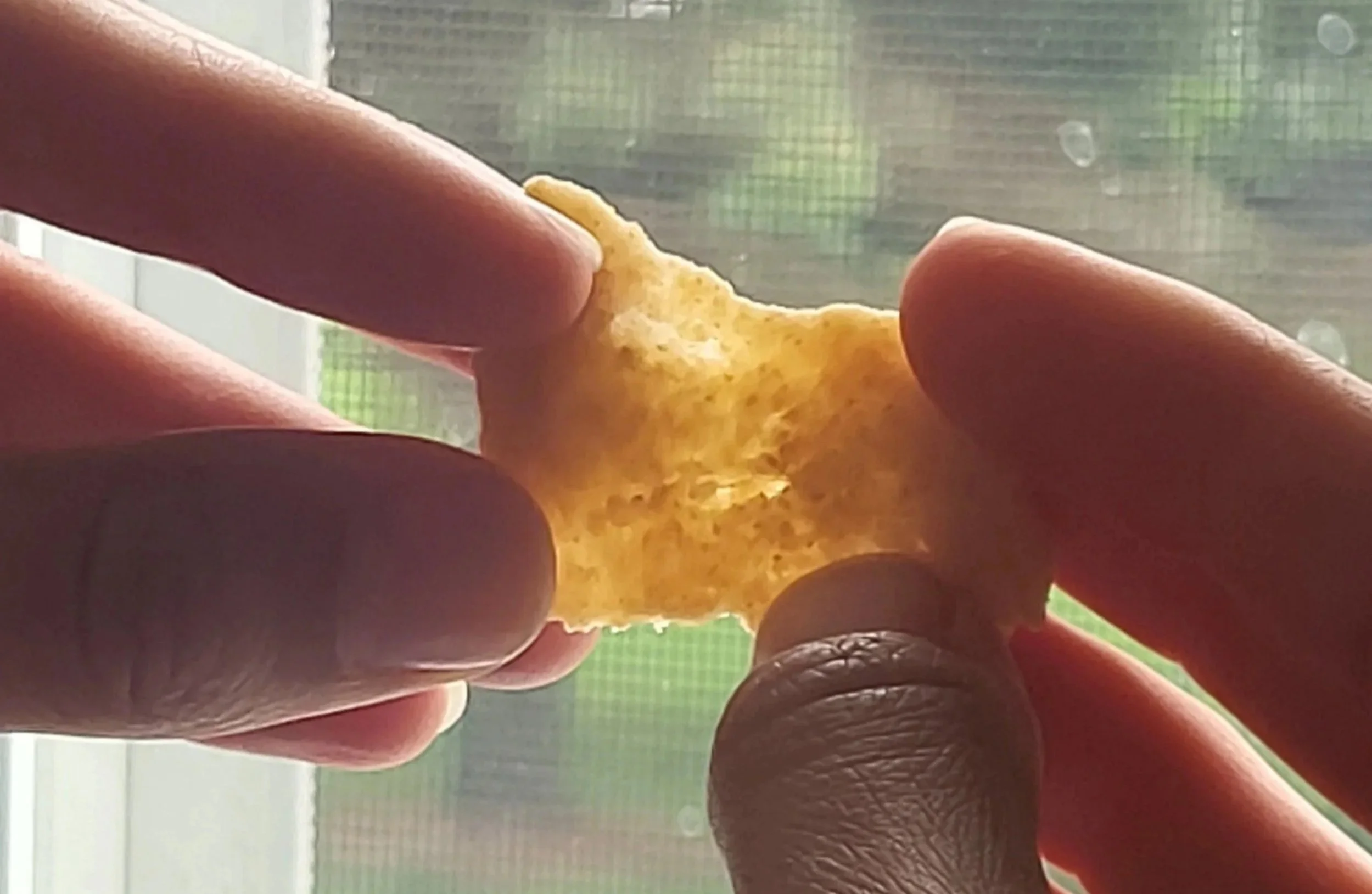 Close-up of fingers holding stretched dough, with a background of a window.