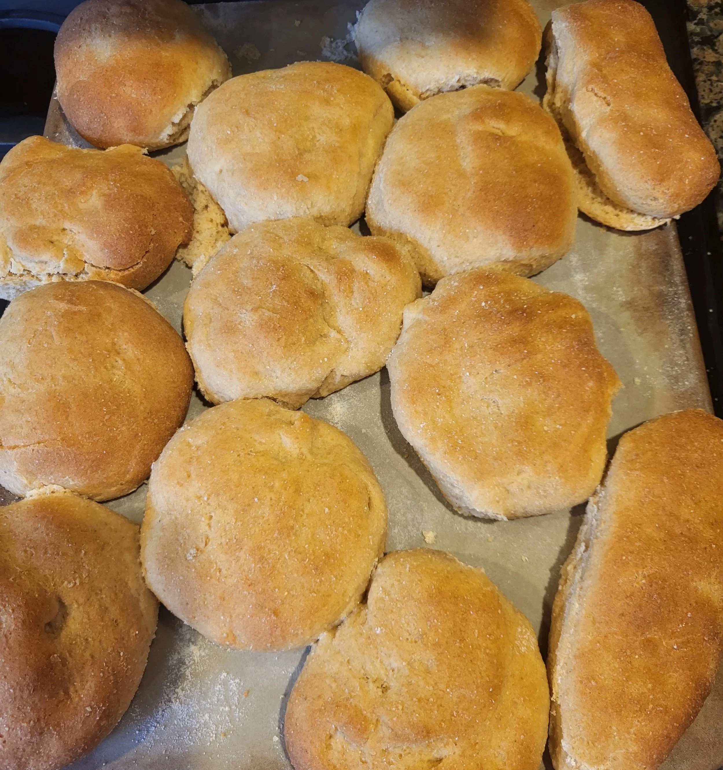 Close-up of freshly baked dinner rolls on a baking sheet