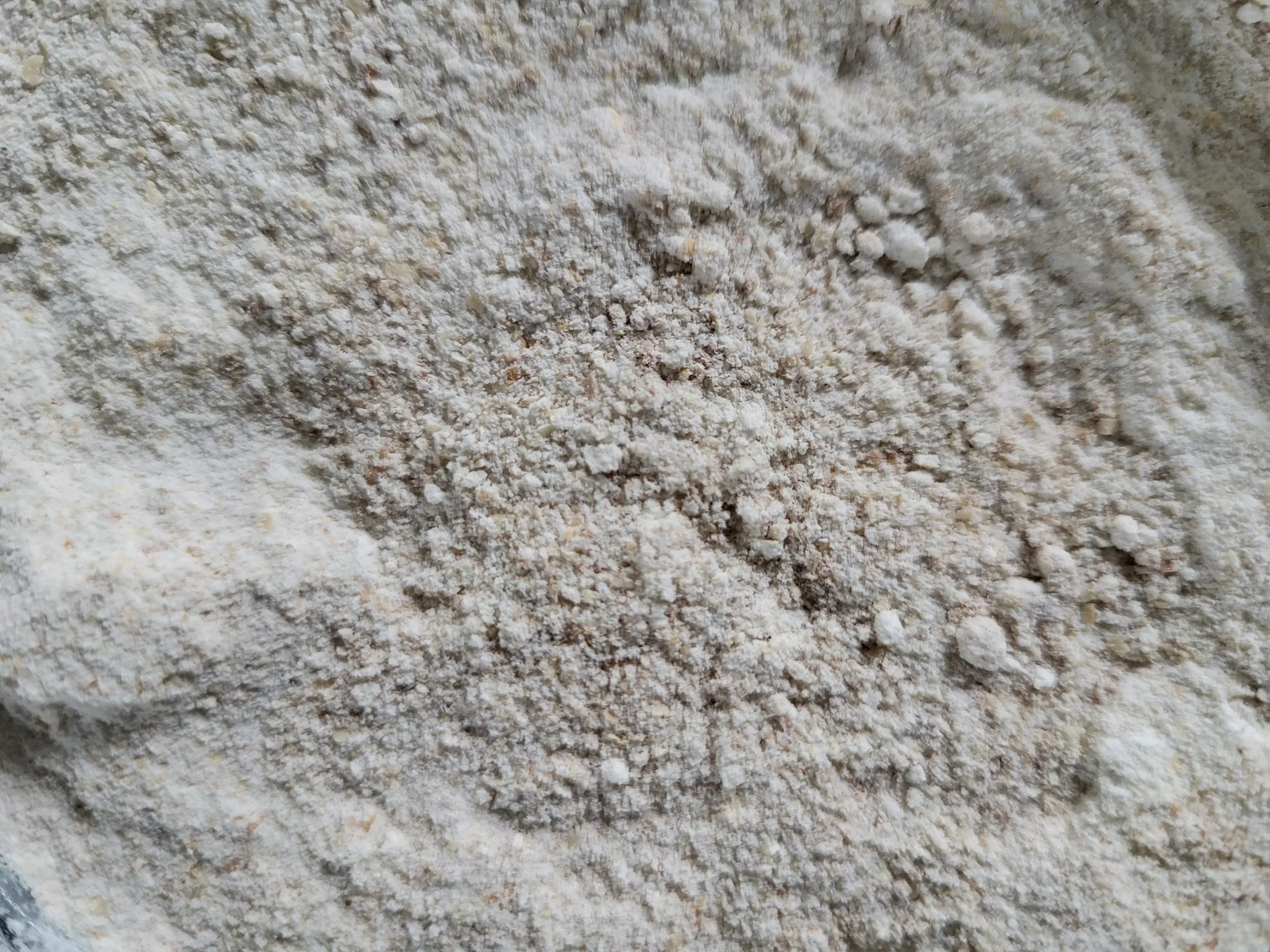 Close-up of a textured, light-colored flour.