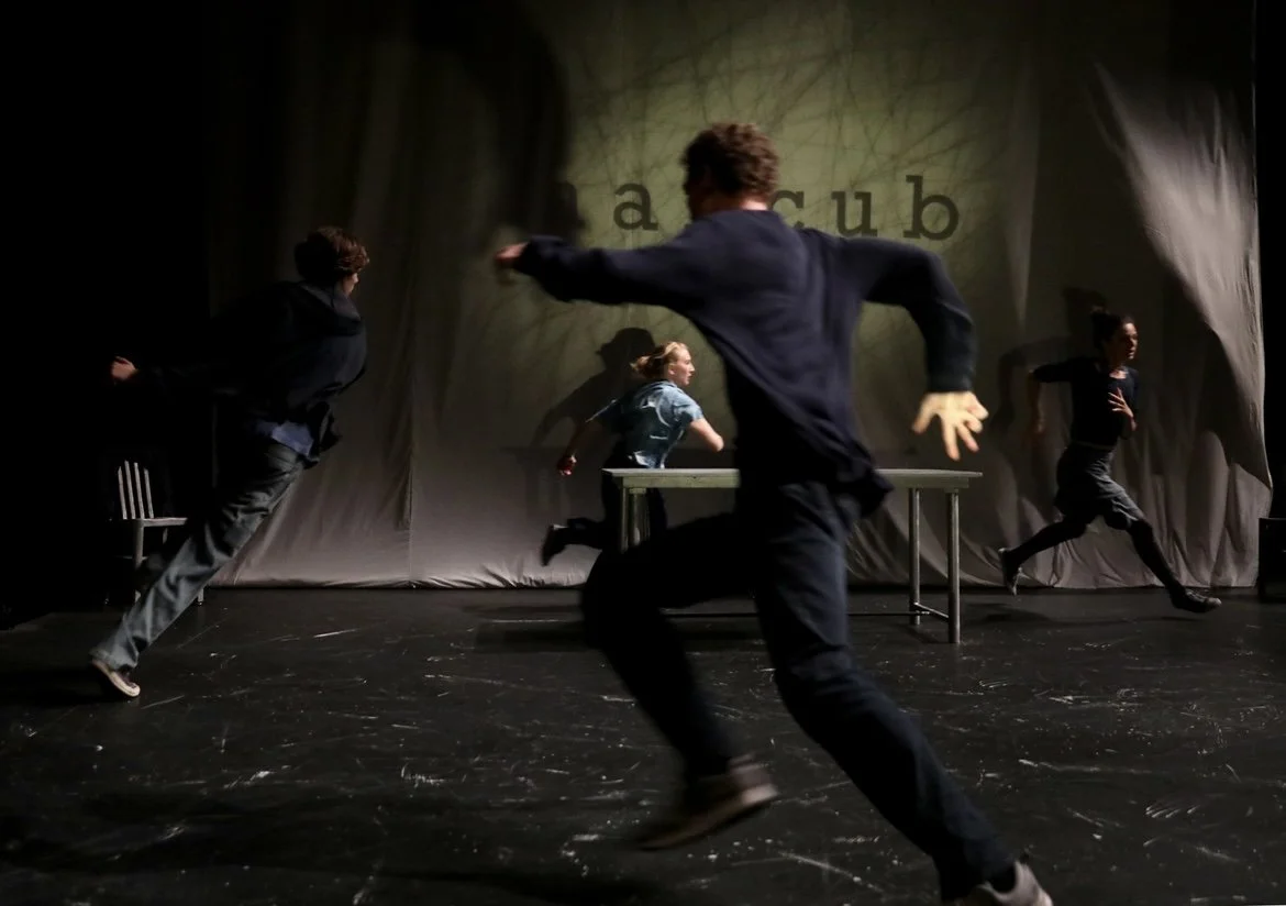 People performing on a stage with a curtain in the background that says "a scrub."