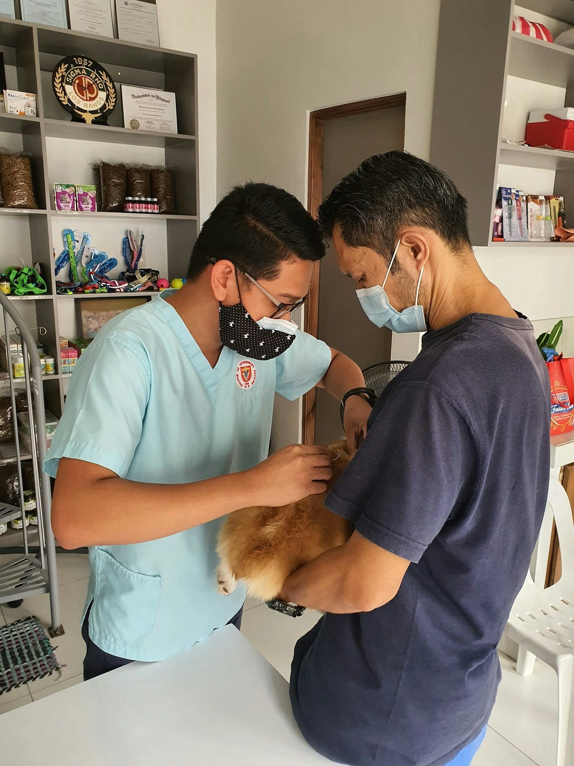 The Whisker Project of Kern-TNR: A veterinary technician examining a small dog while a pet owner holds the dog inside a veterinary clinic.