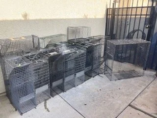 The Whisker Project of Kern-TNR:  Multiple live trap cages lined up outdoors against a wall and a fence.