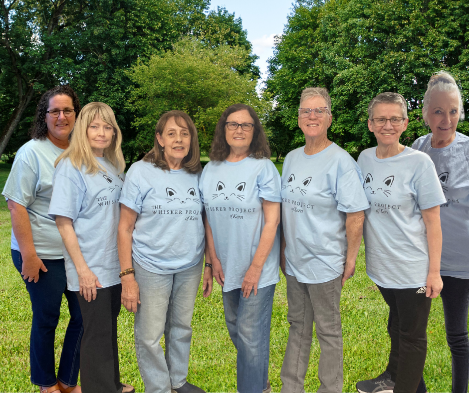 The Whisker project of Kern Team. Seven women standing in a park wearing their Team t-shirts