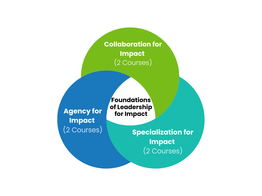 Courses — Global Impact Diploma