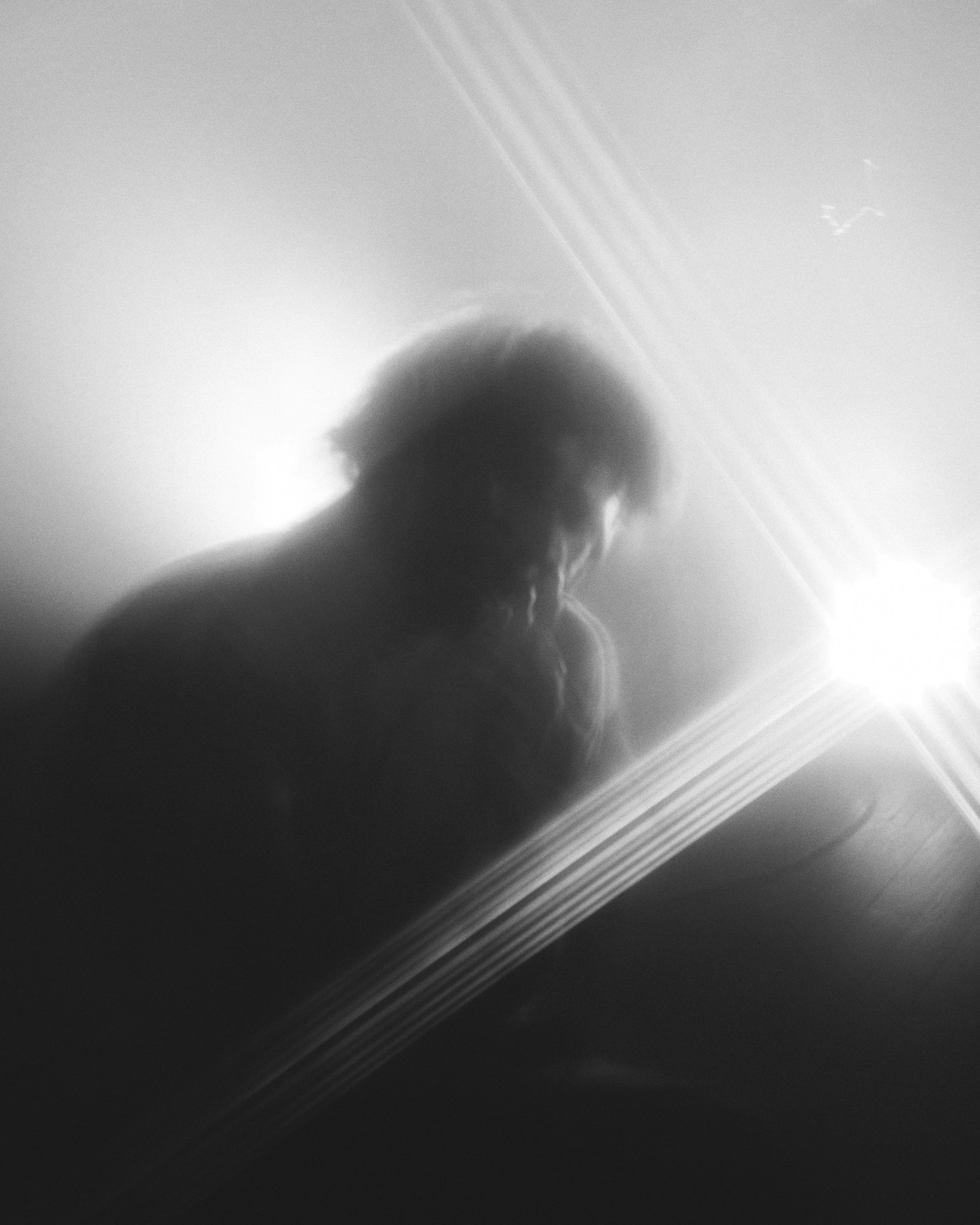 DSCF4531.jpg
